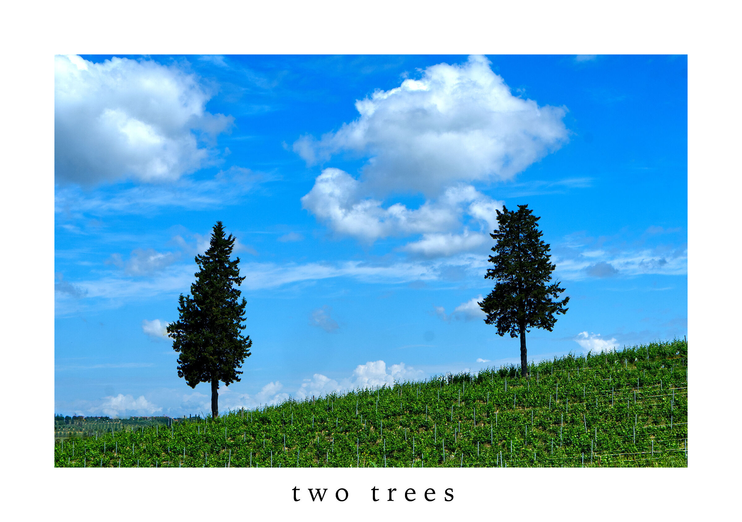 Two Trees...
