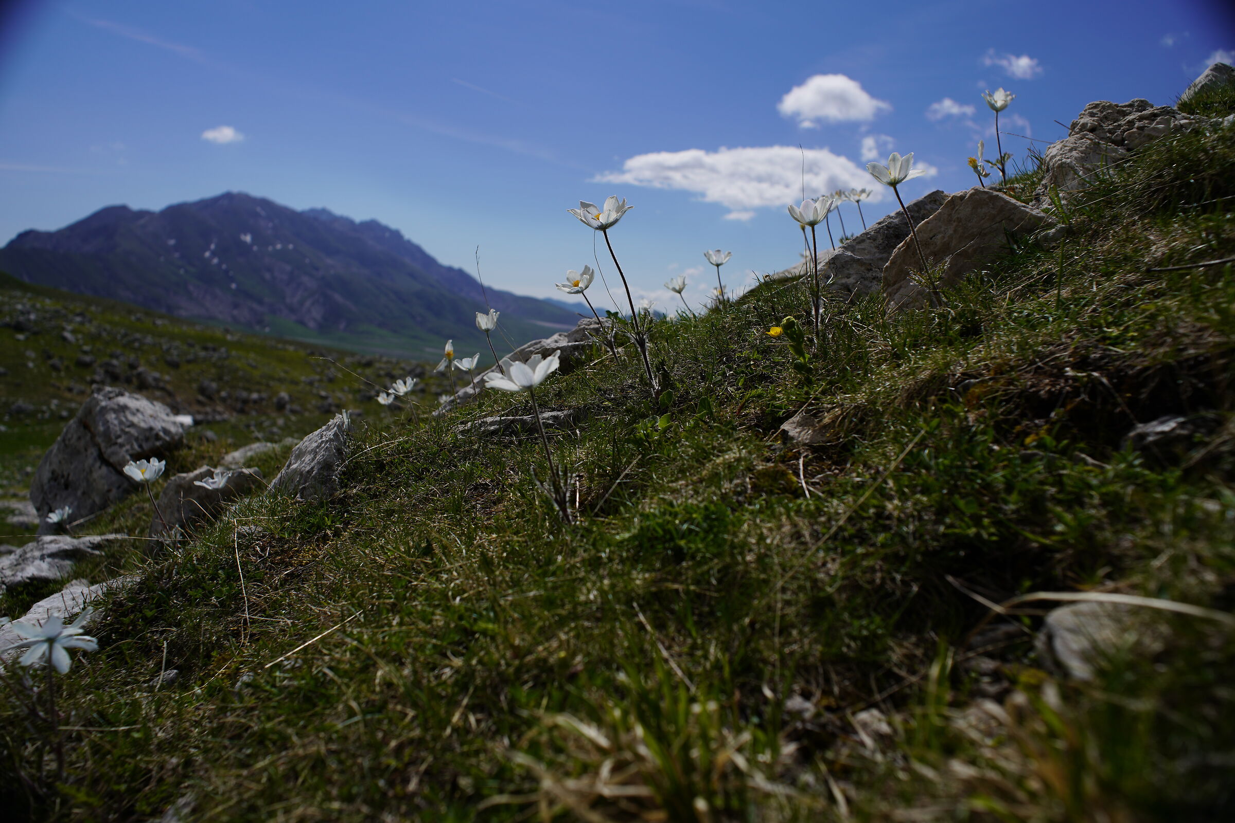 Campo Imperatore, Gran Sasso...