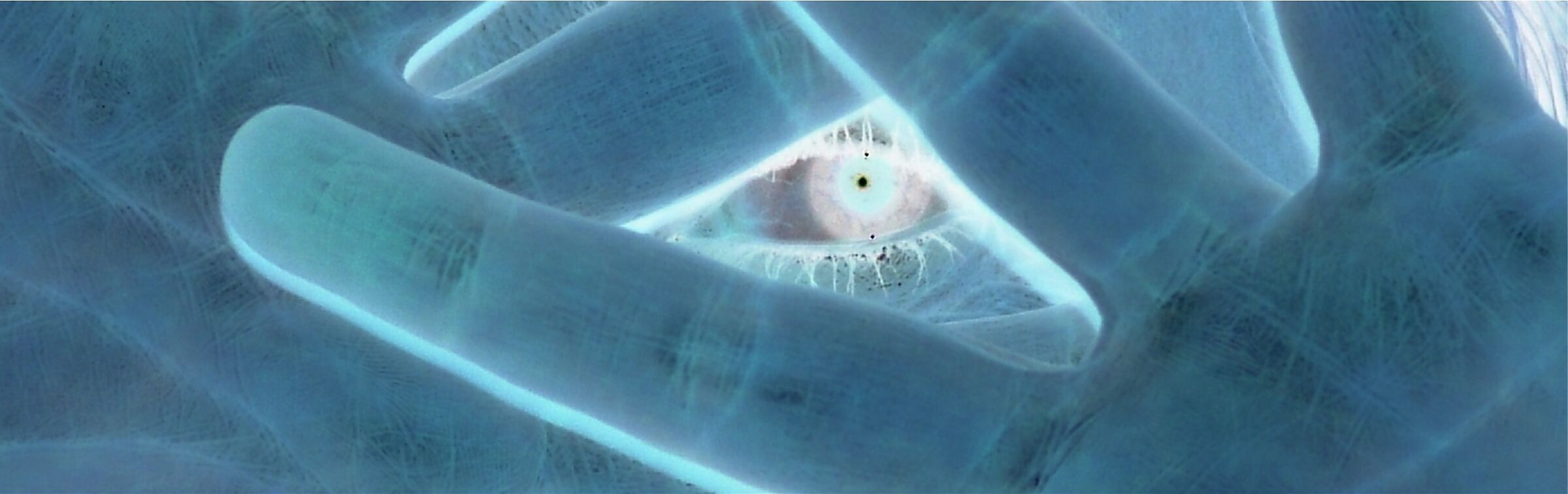 eye...
