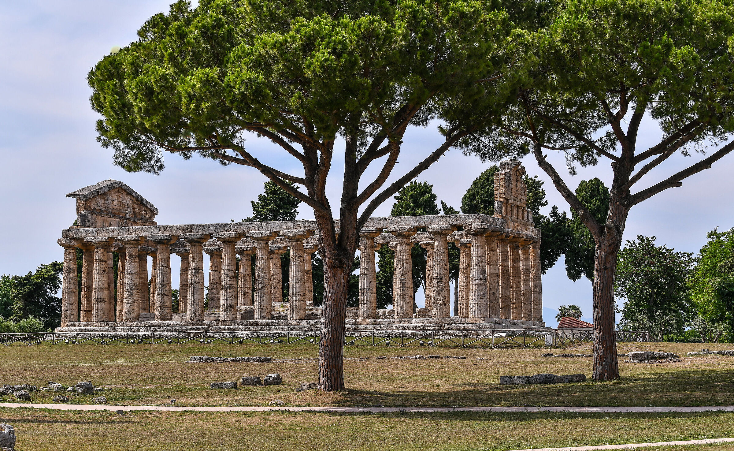 Paestum-Il Tempio di Athena/Cerere...
