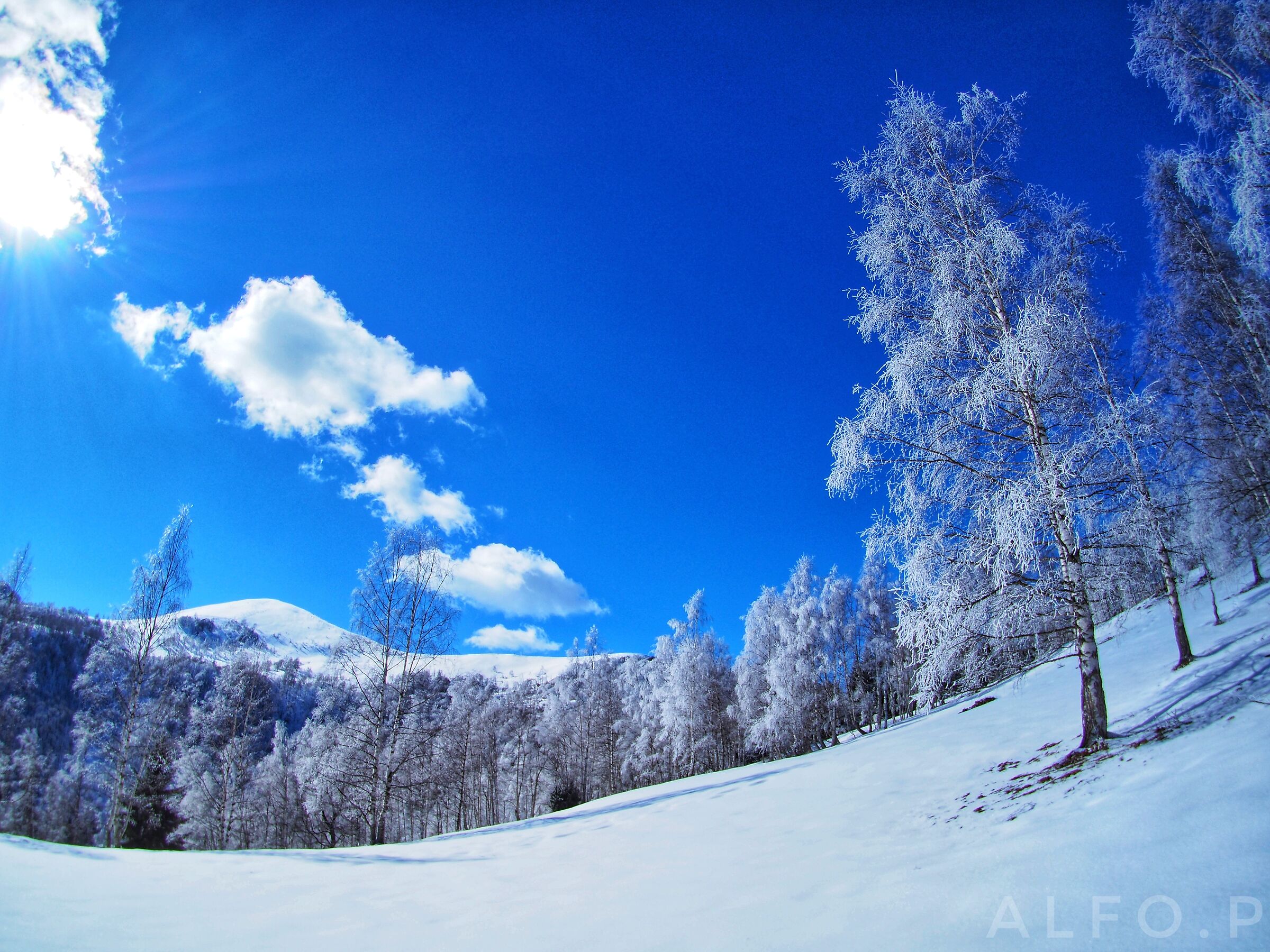 Snowy landscape - Cuneo...