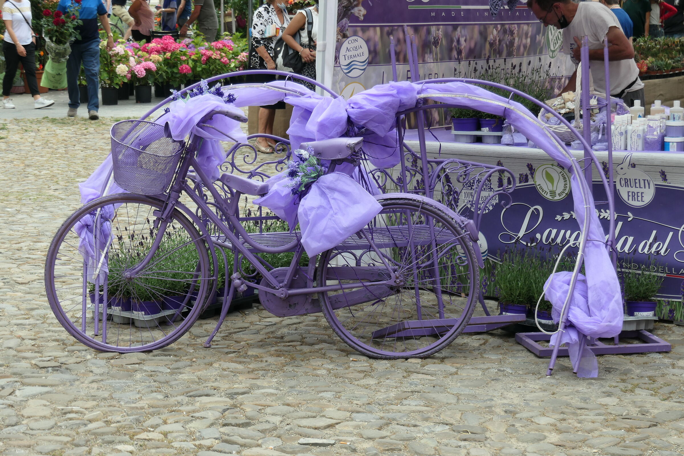 La bicicletta lilla...
