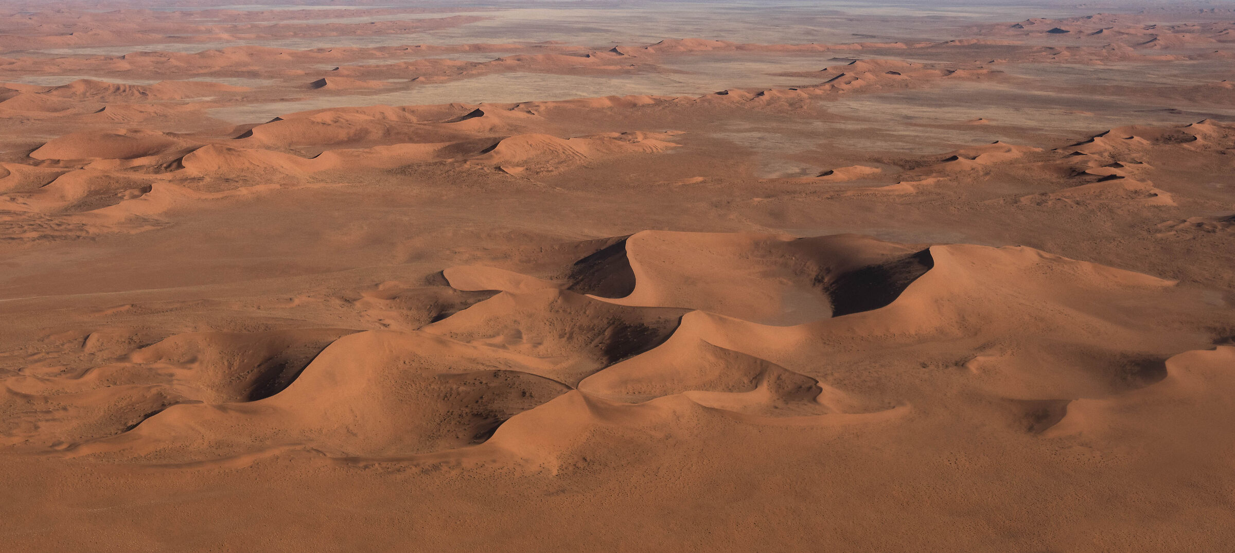the designs of the Namib...