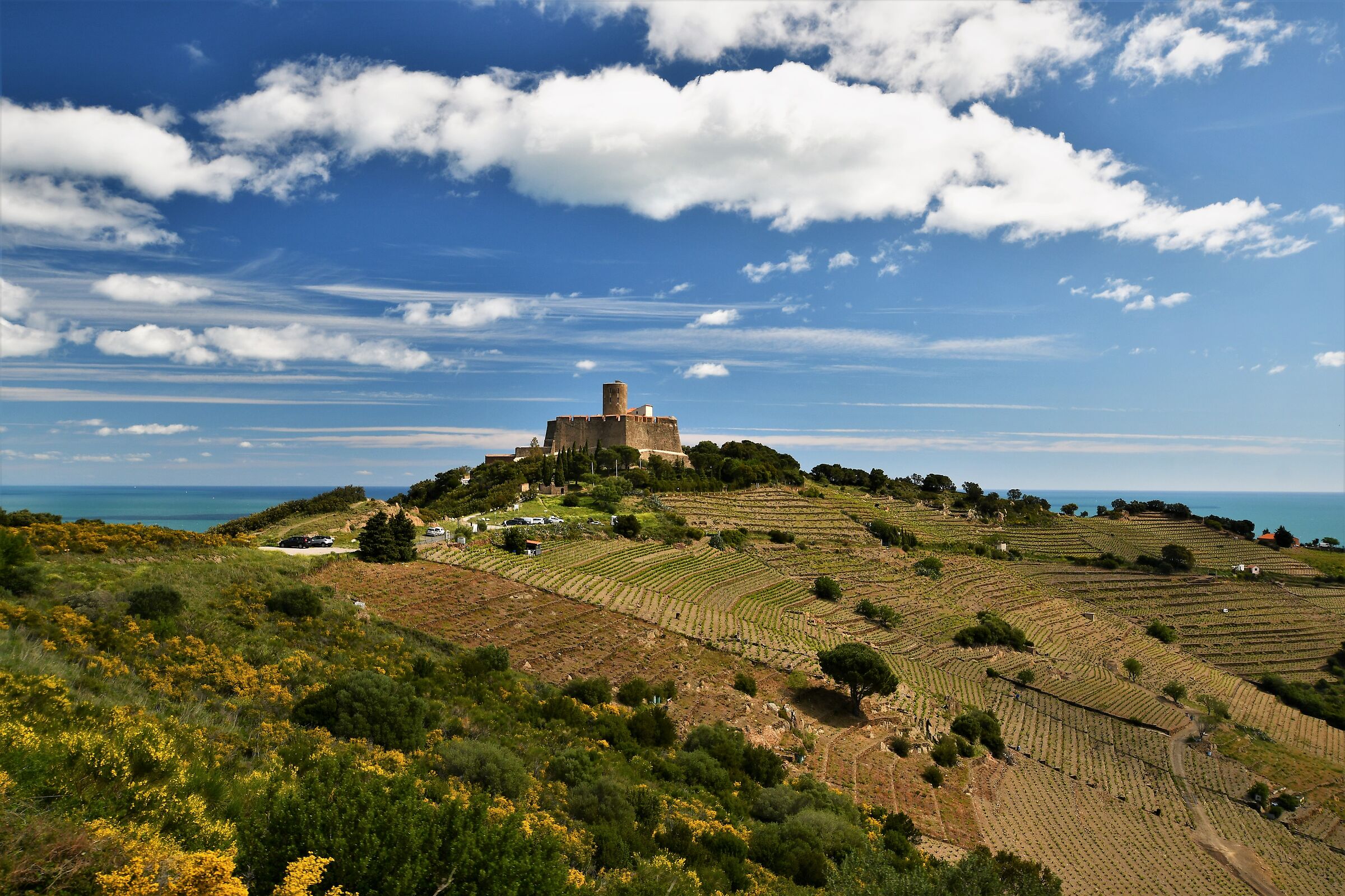 il paese di Collioure in Linguadoca...
