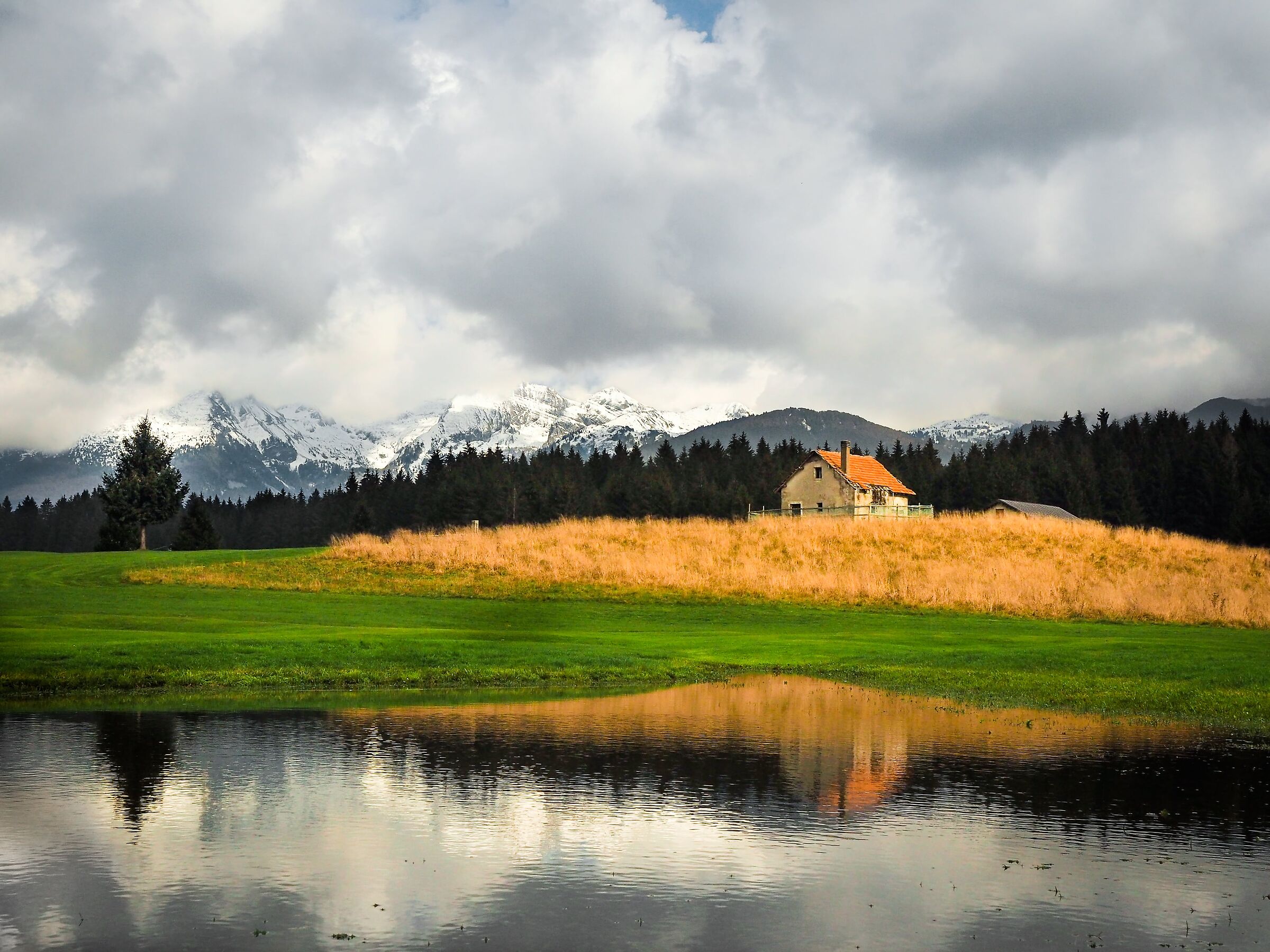 Cansiglio Meadows...