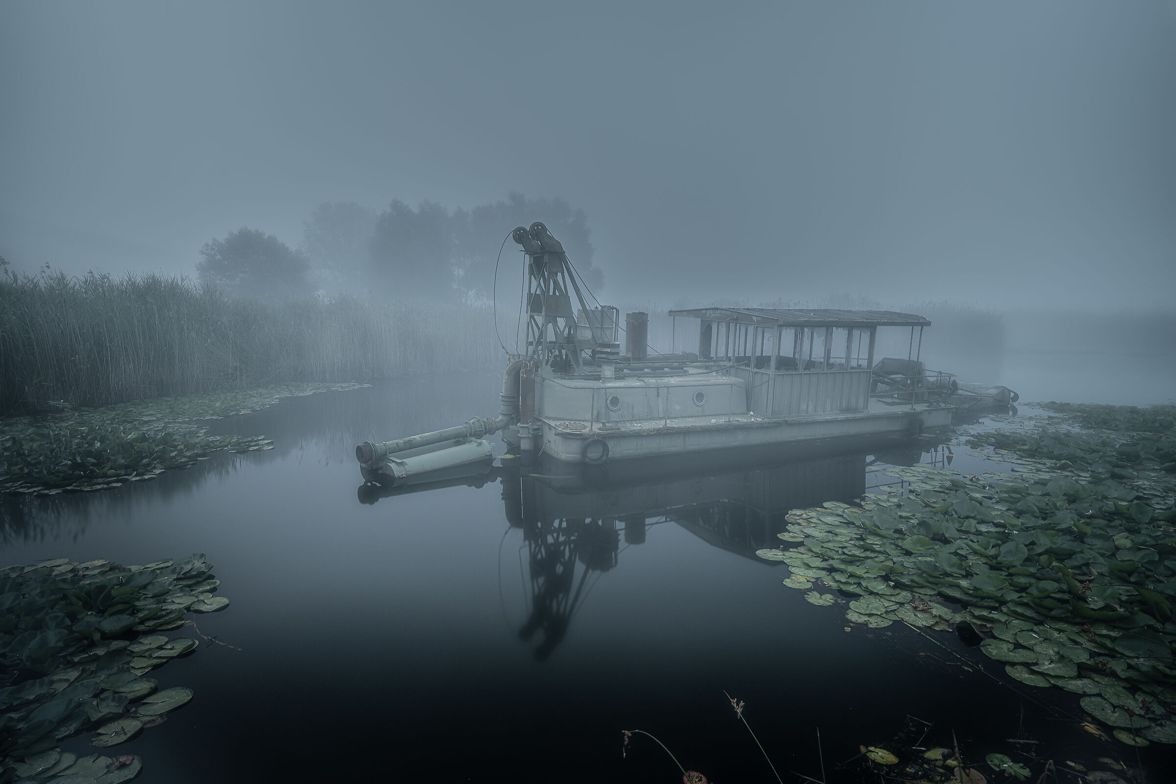 Summer fog in Swamp...