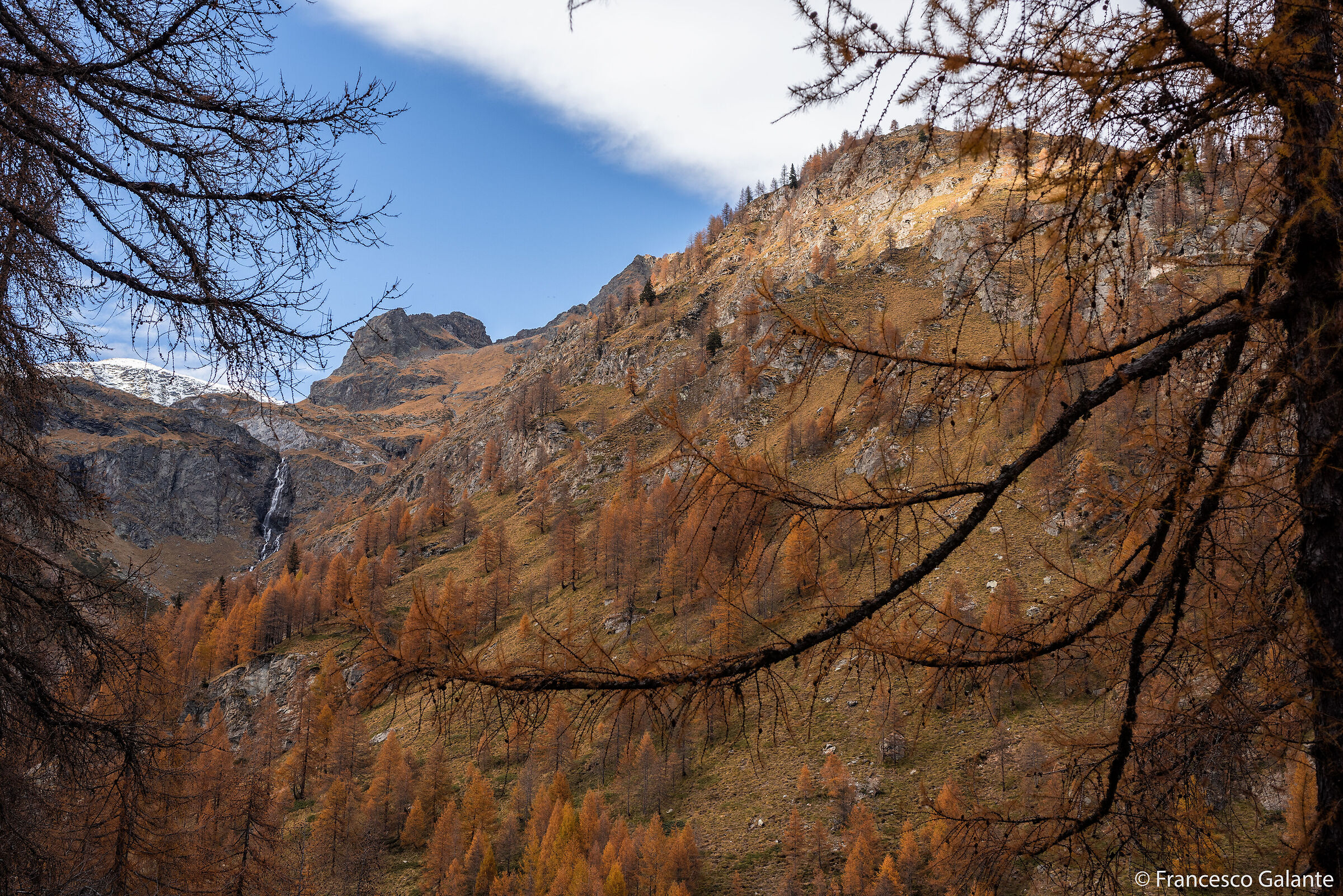 Val Vogna - Alpe Larecchio 8...