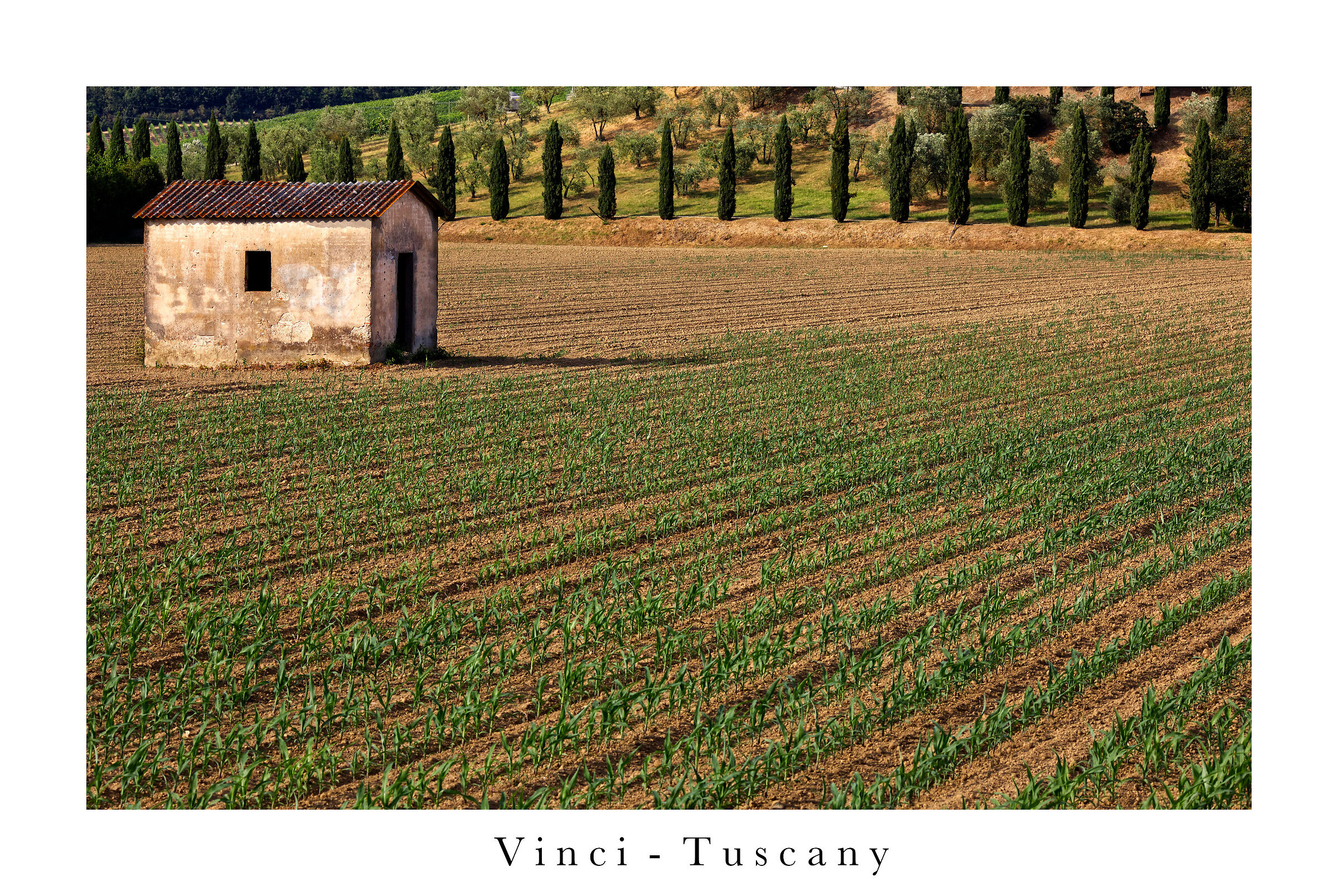 Lands of Tuscany...