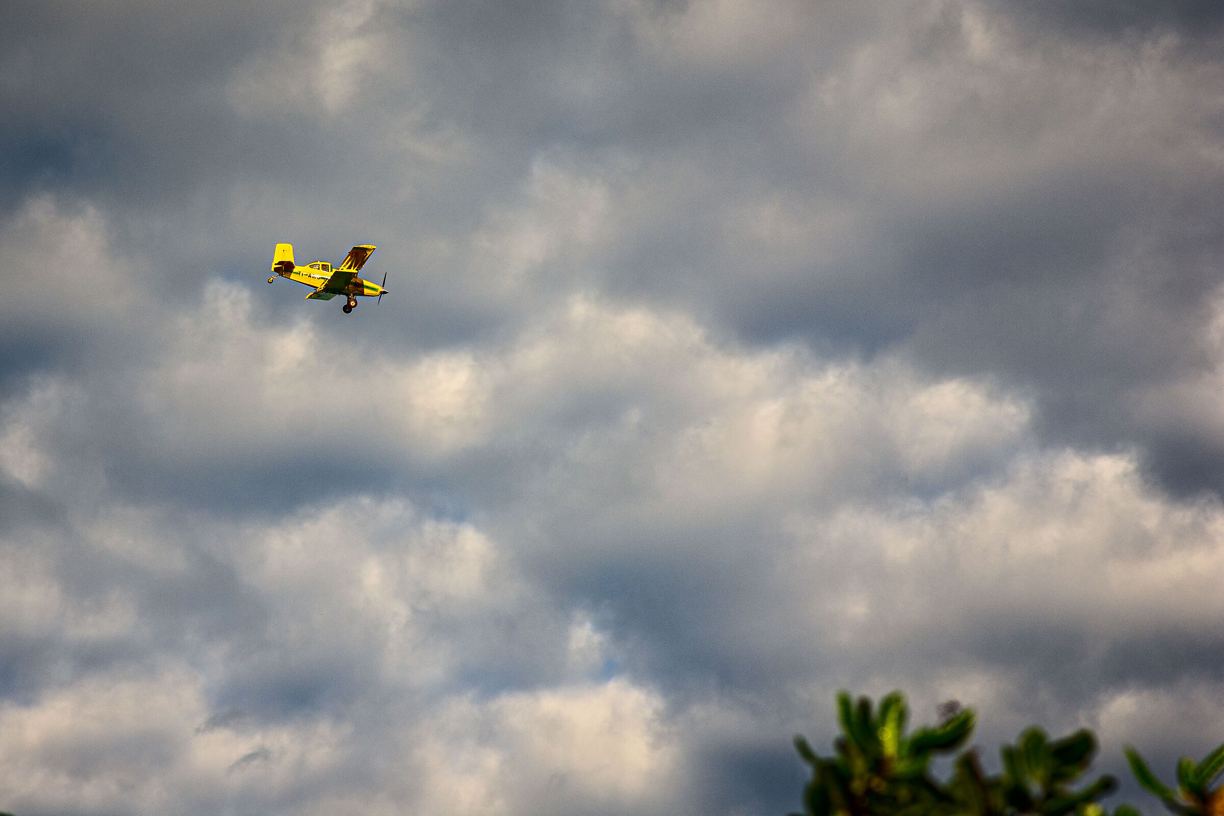 Yellow airplane...