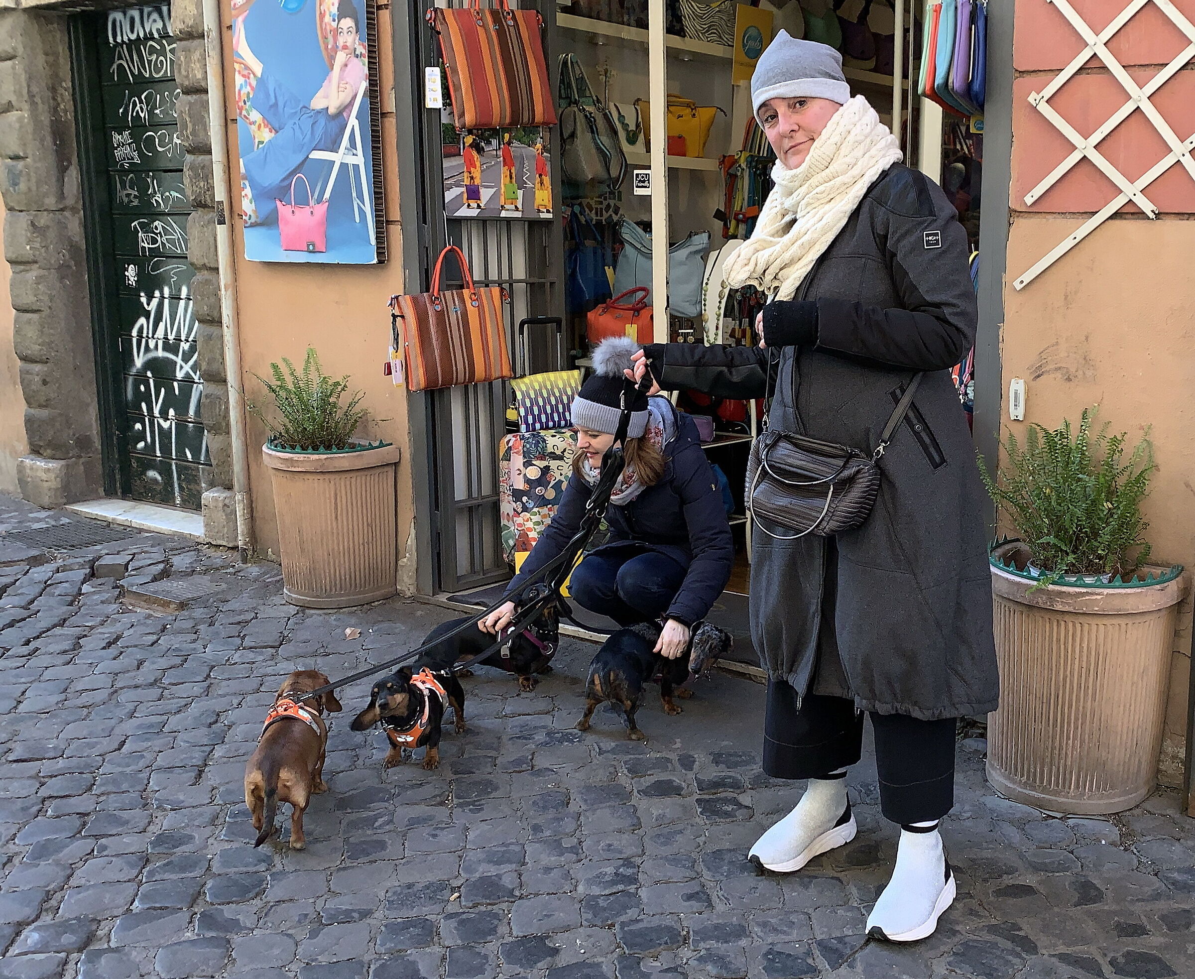 The dachshund band walking...