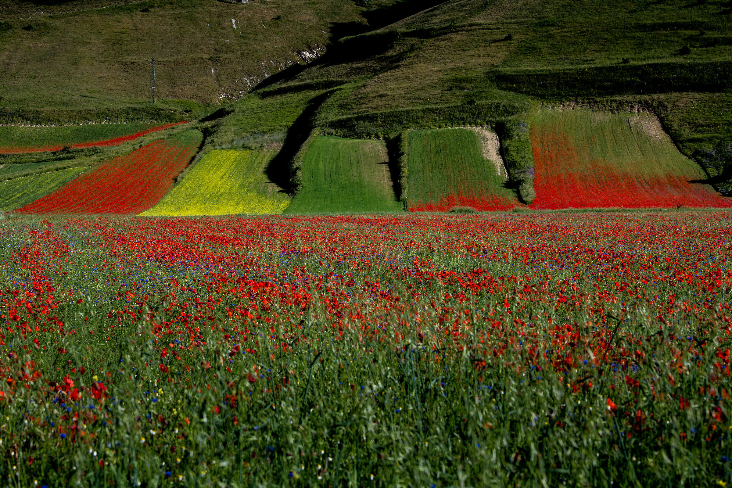 Castelluccio...