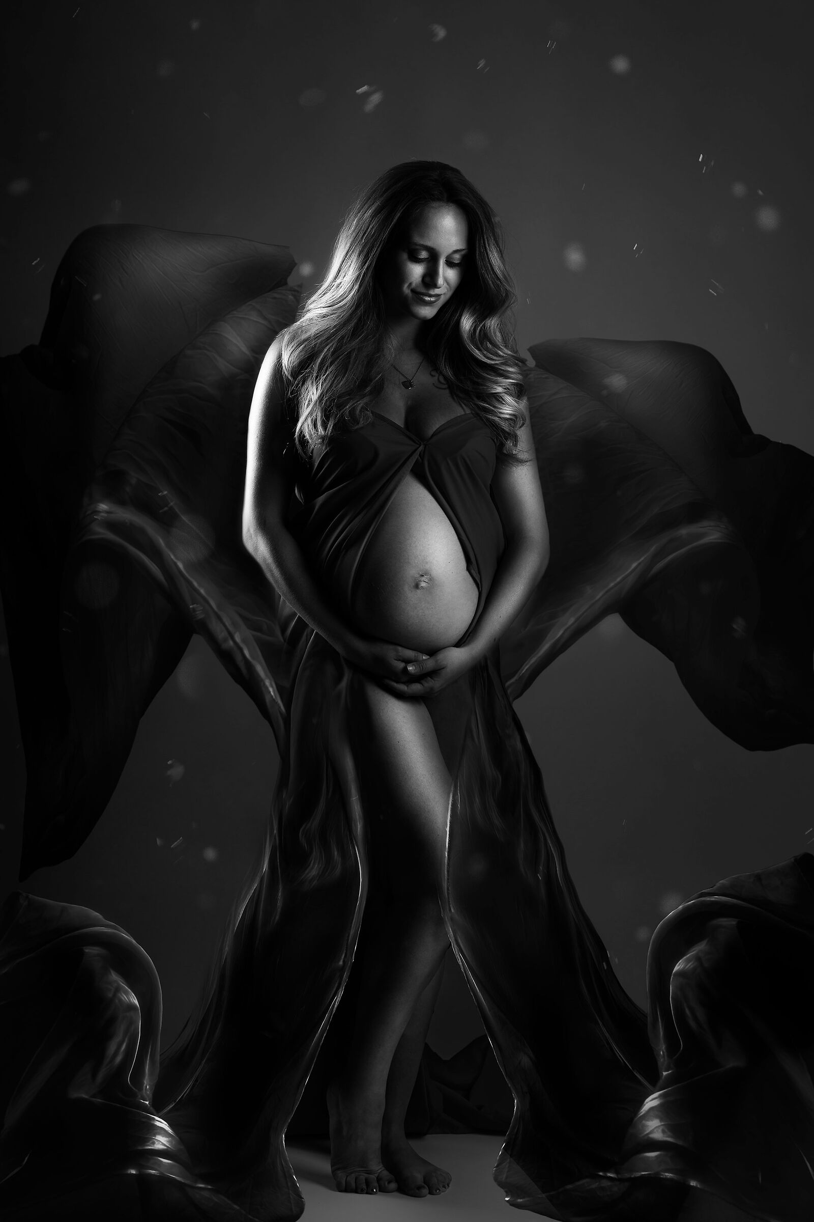 Fine Art Maternity...