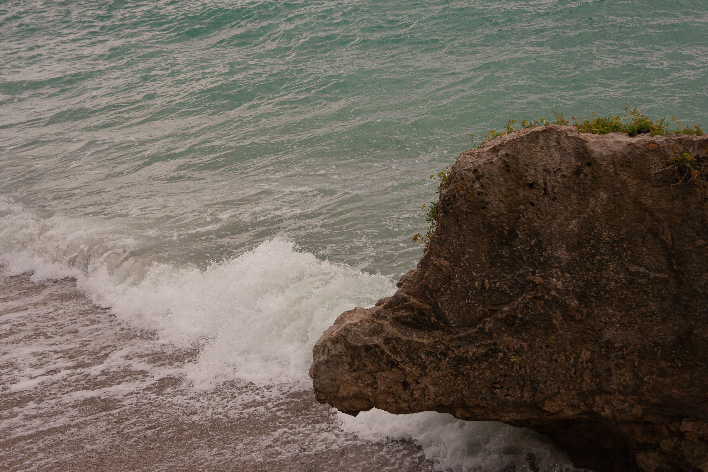 Wild boar rock...