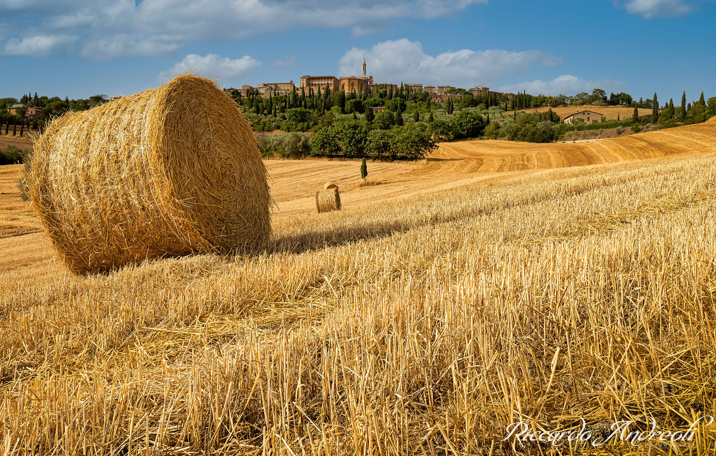 il grano di Toscana...
