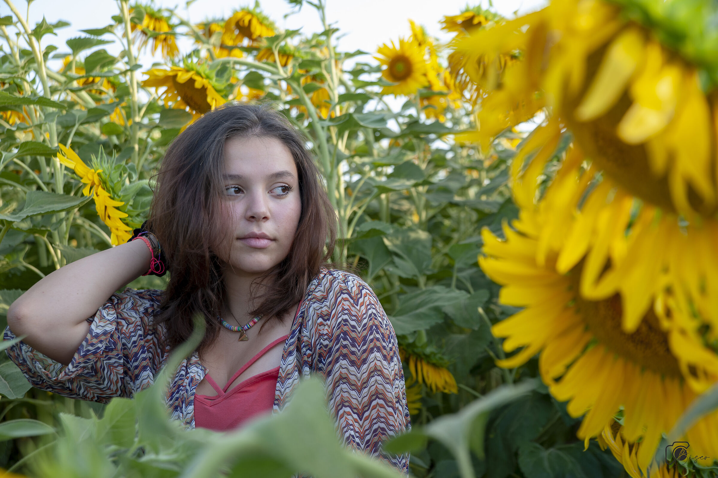 Rebecca among sunflowers...