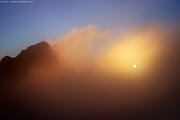 [Photo]