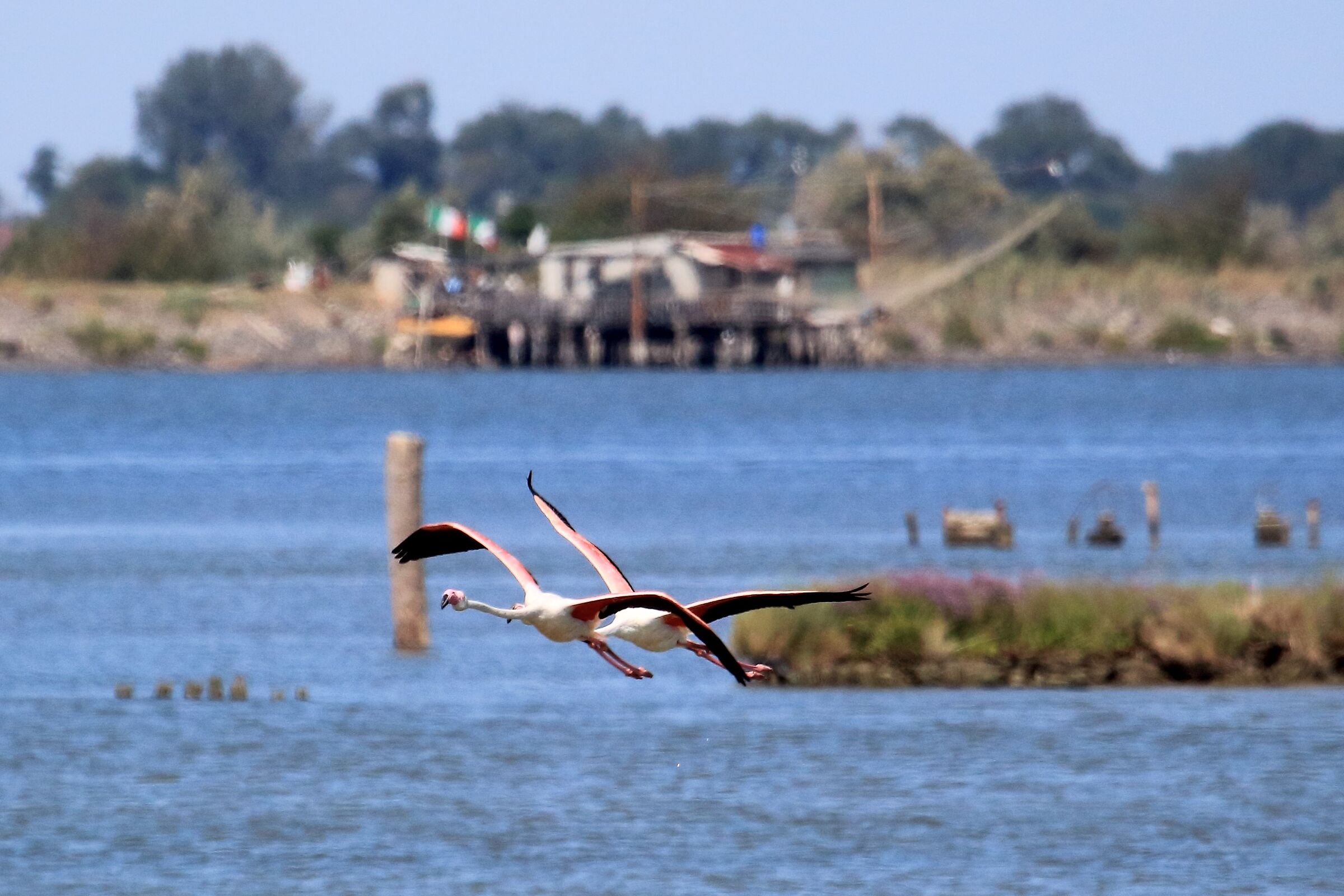Take-off from the salt pan...