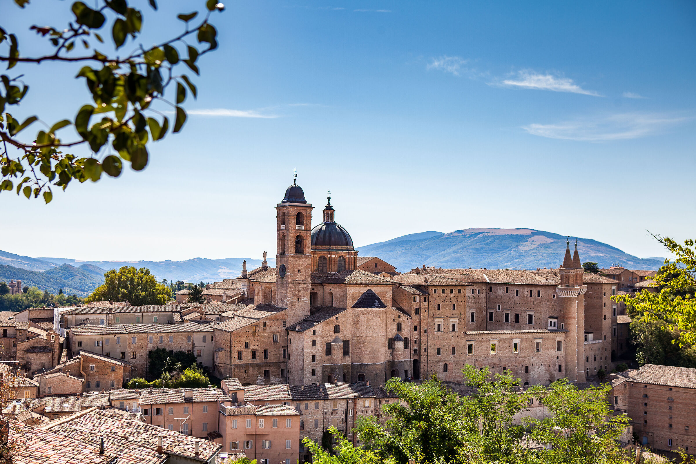 Panorama of Urbino...