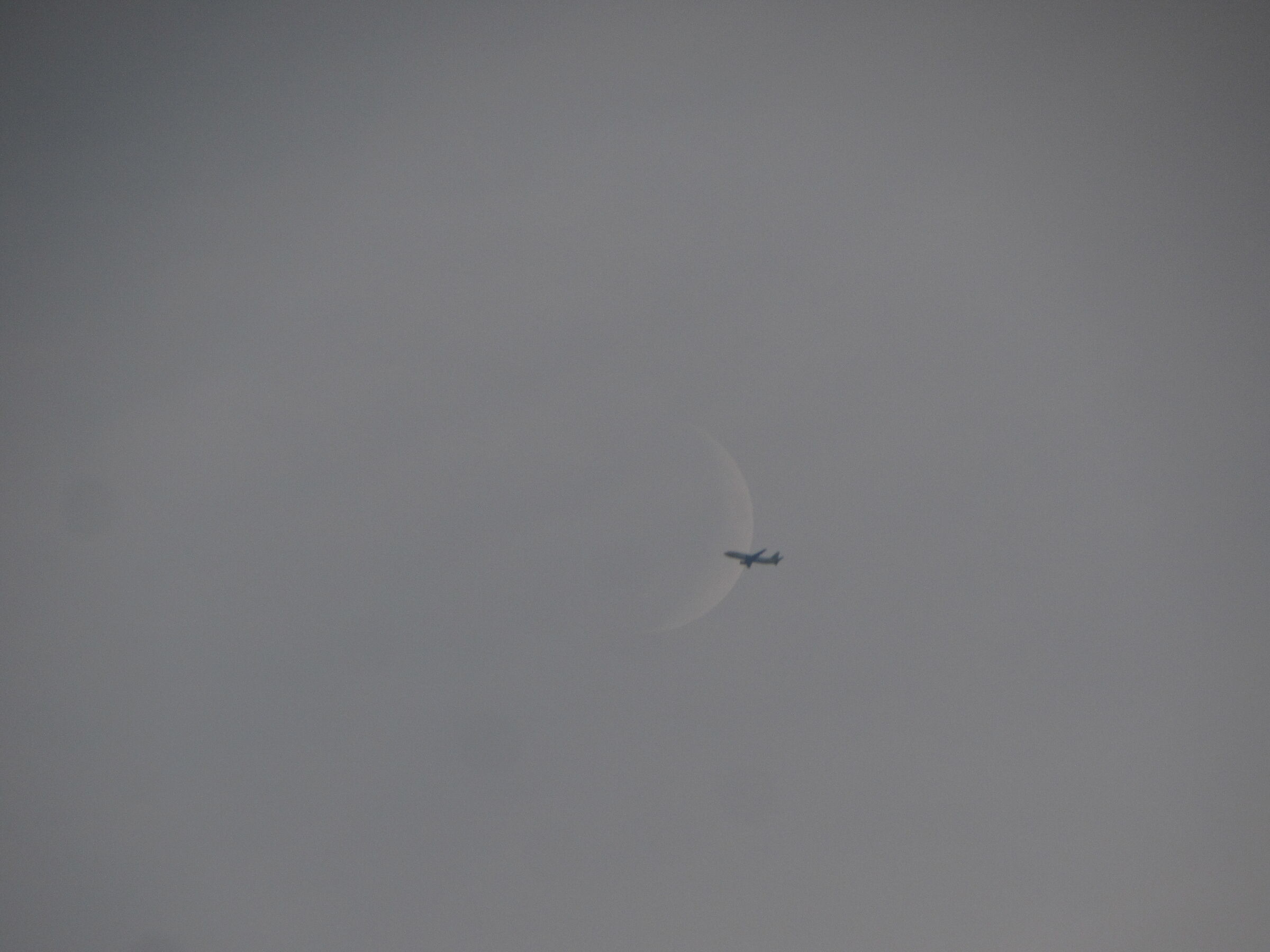 Aereo fly me to moon"...