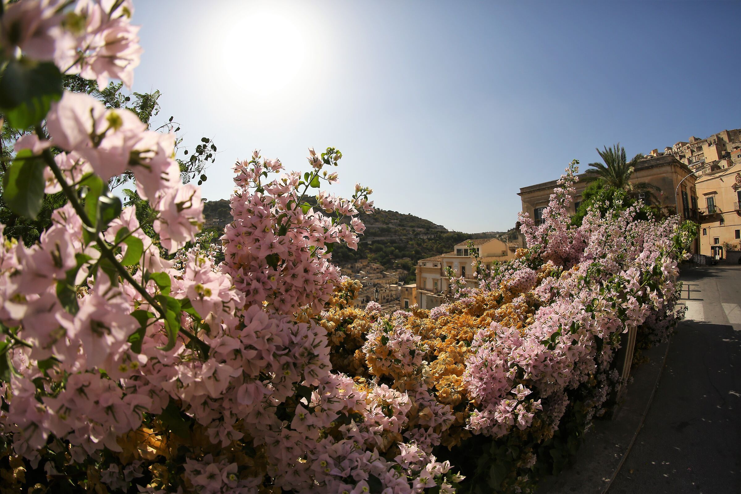 At the foot of the Cathedral of S. Giorgio di Modica...