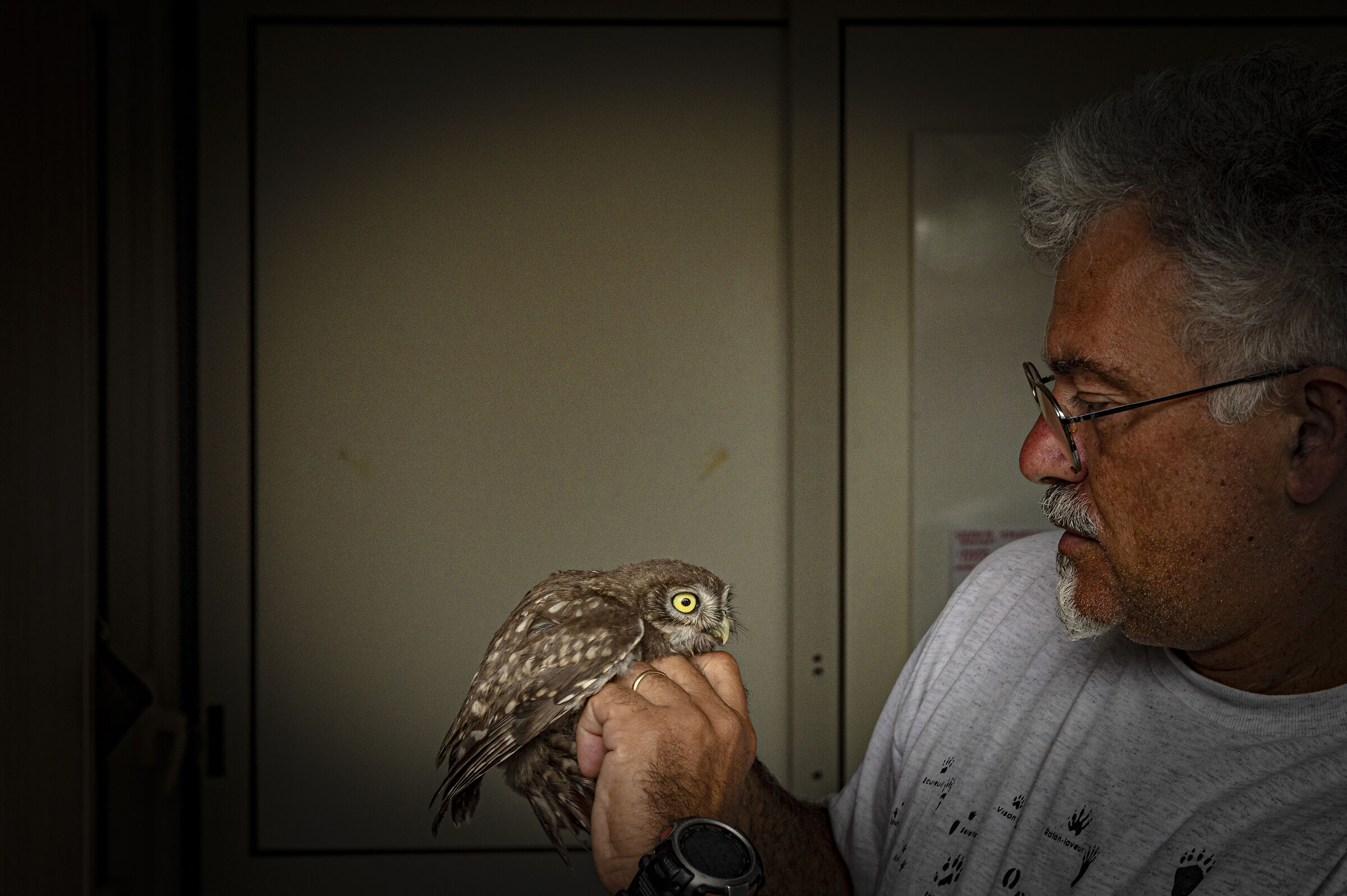 giancarlo takes care of a small owl...