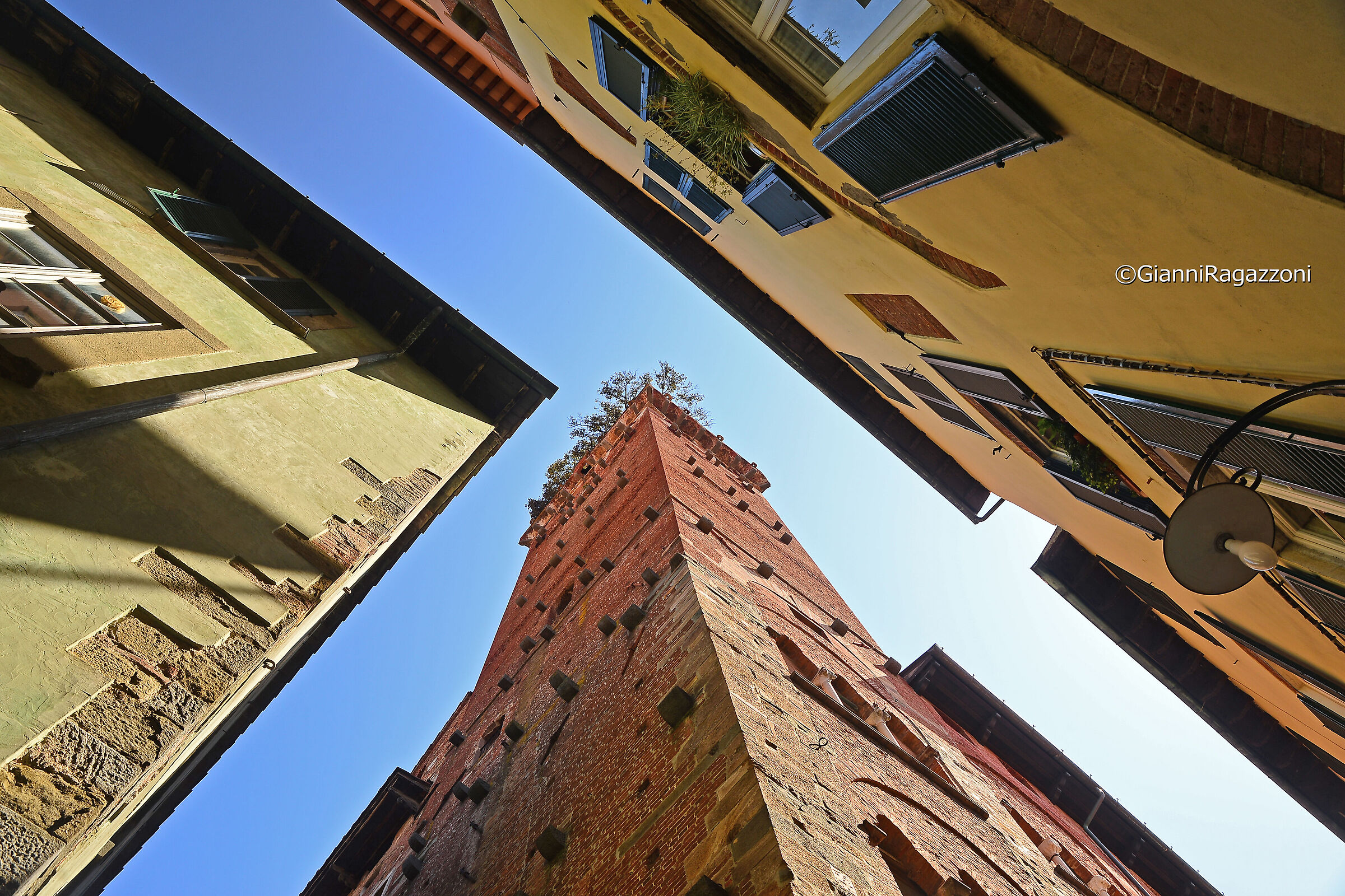 Torre Giunigi - Lucca...