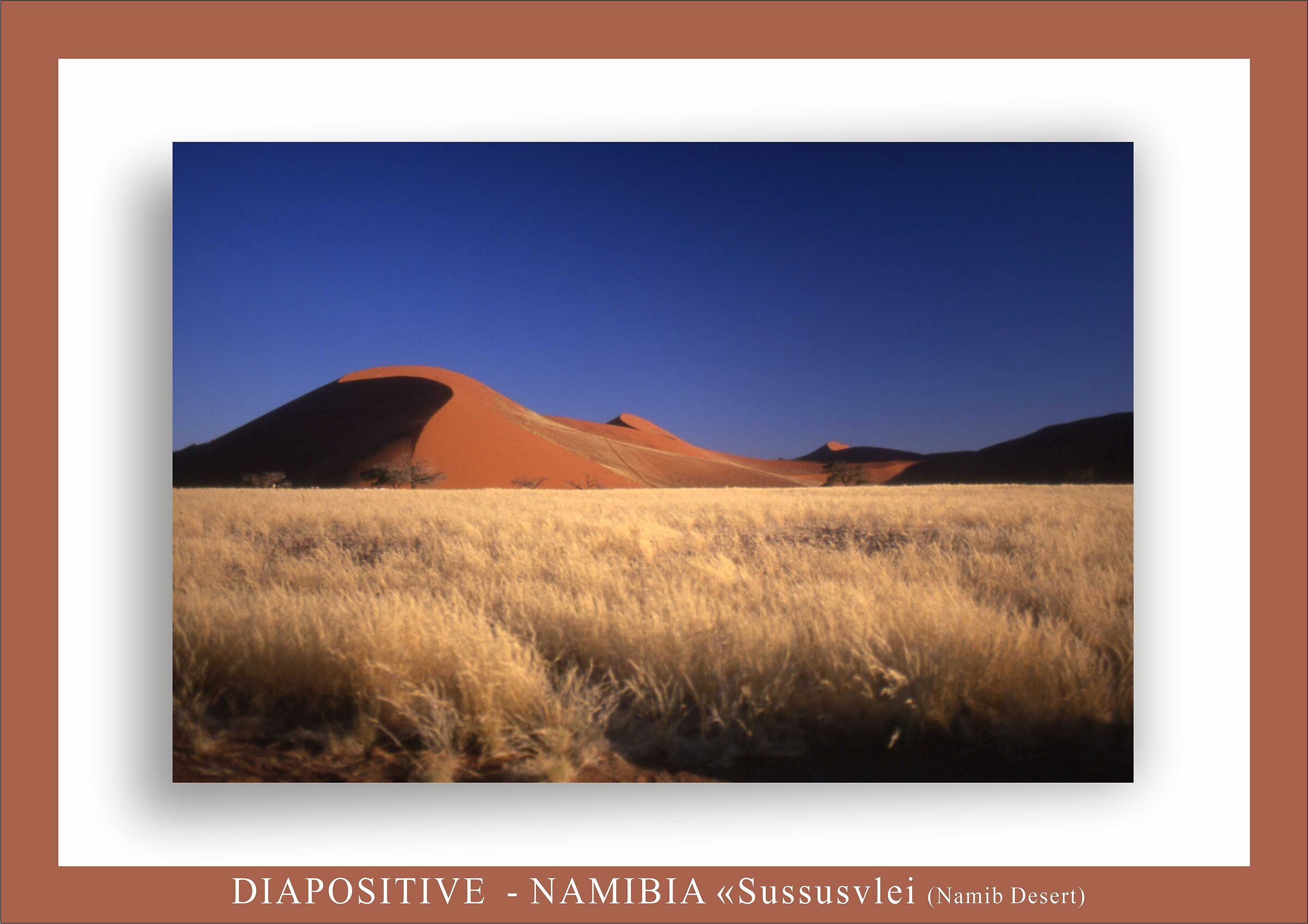 nel cuore del Namib...