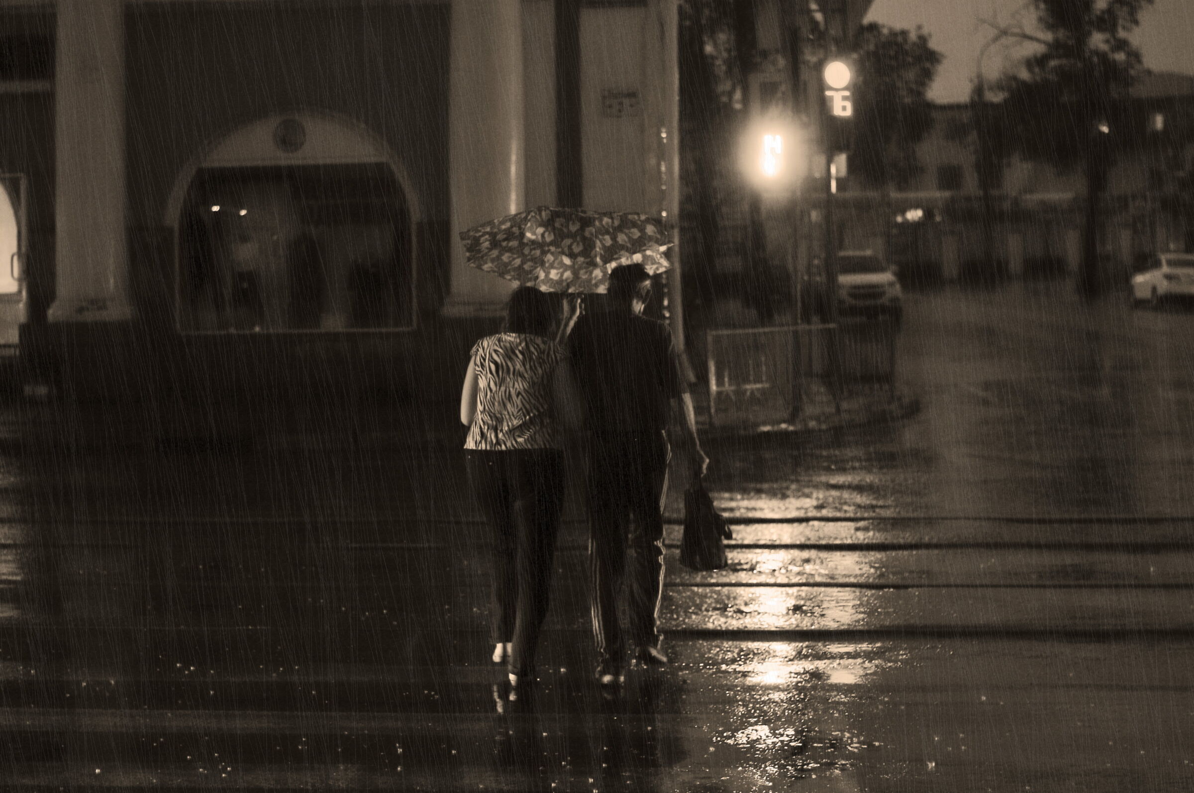 Rainy Night,,,...