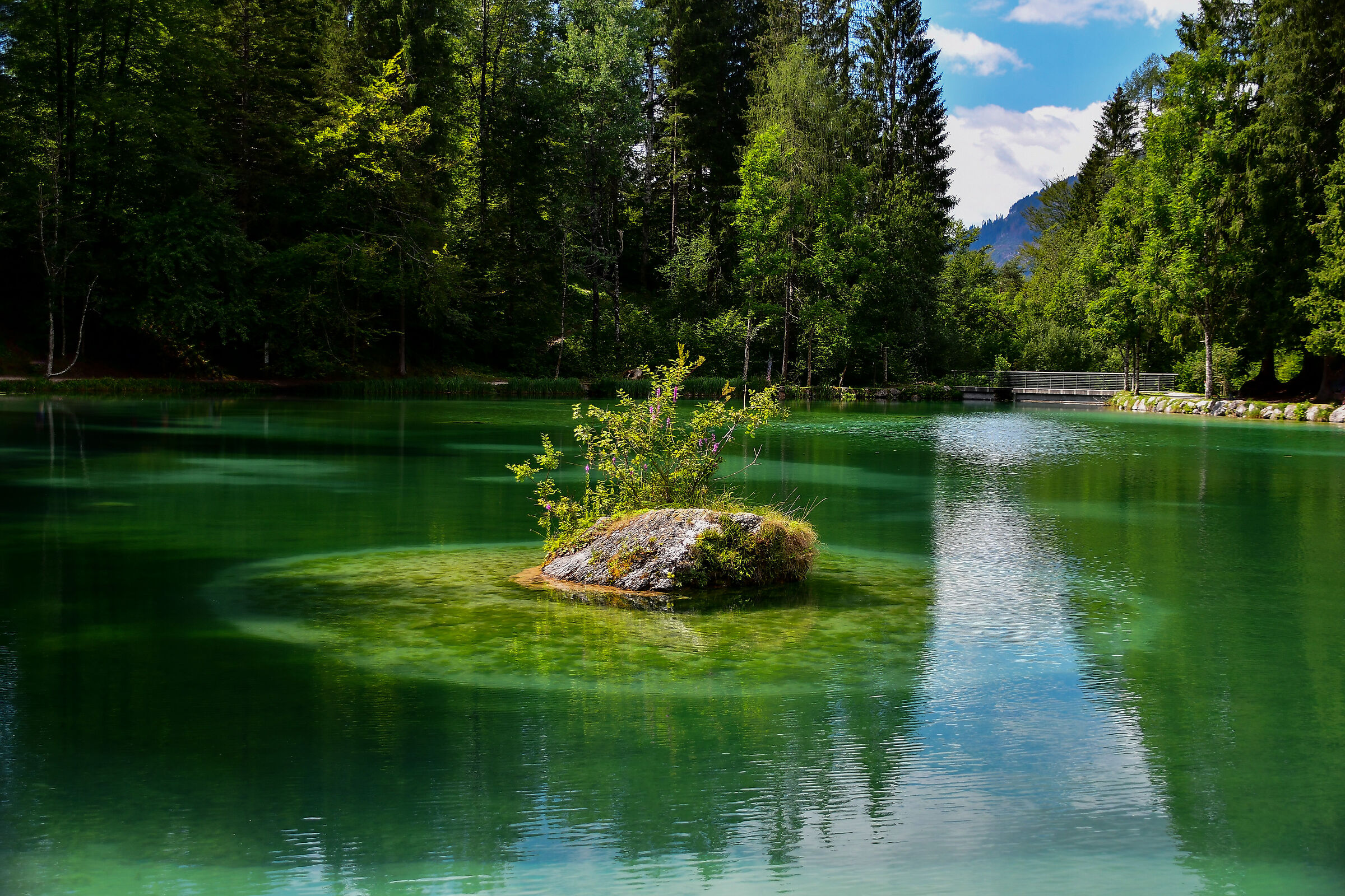 Lake Welsperg (Val Canali TN)...