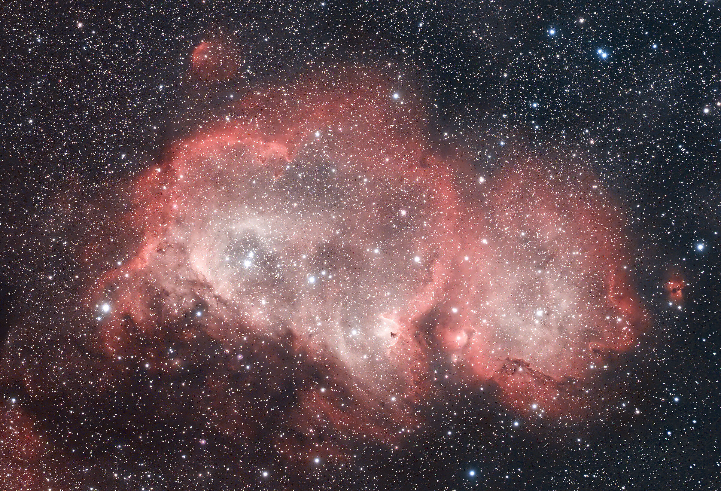 IC 1848 - Nebulosa Anima...