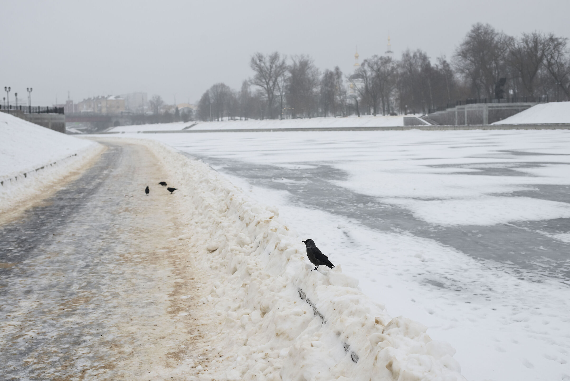 Protection of the Winter embankment...