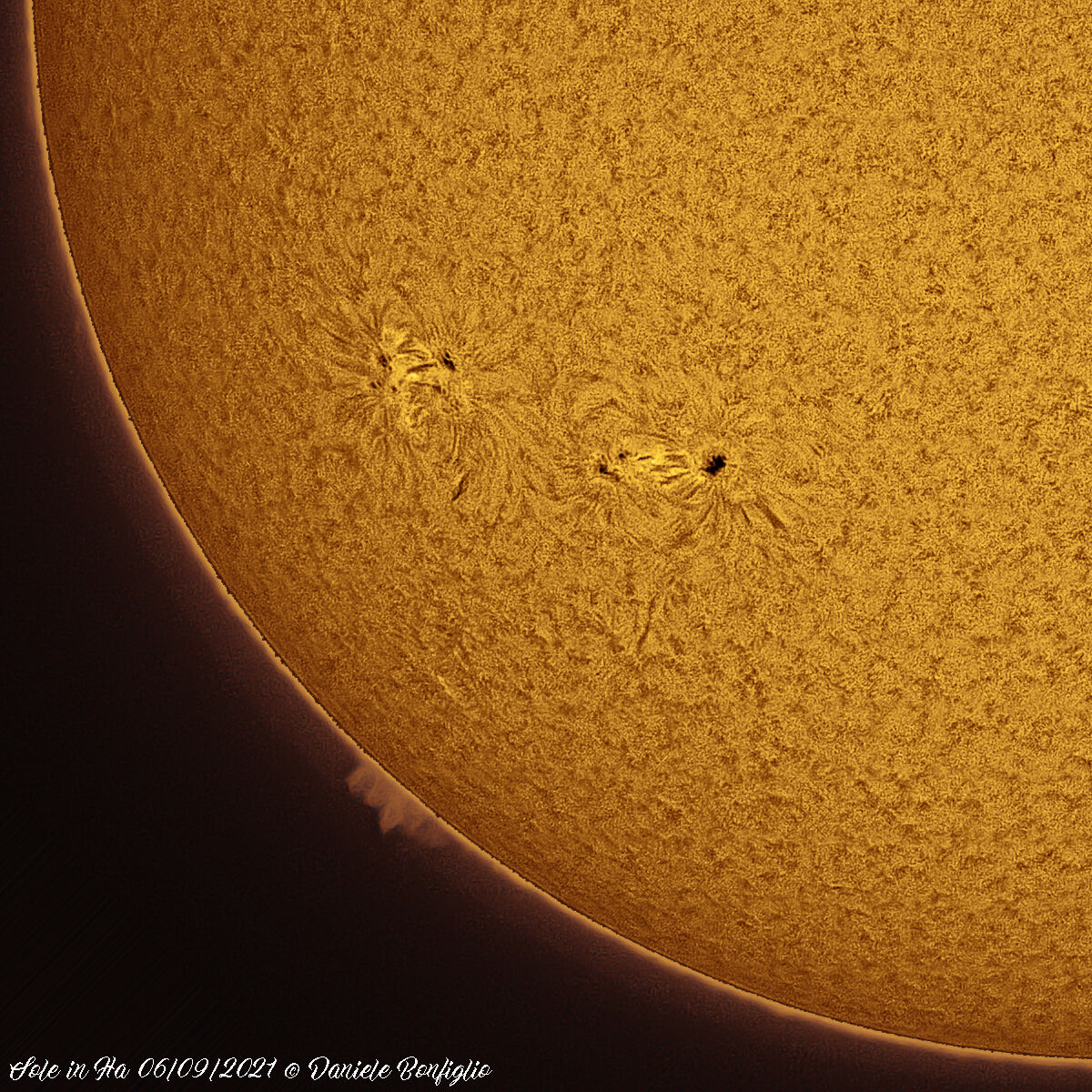 Sole in H-alpha del 06/09/2021 dettaglio...