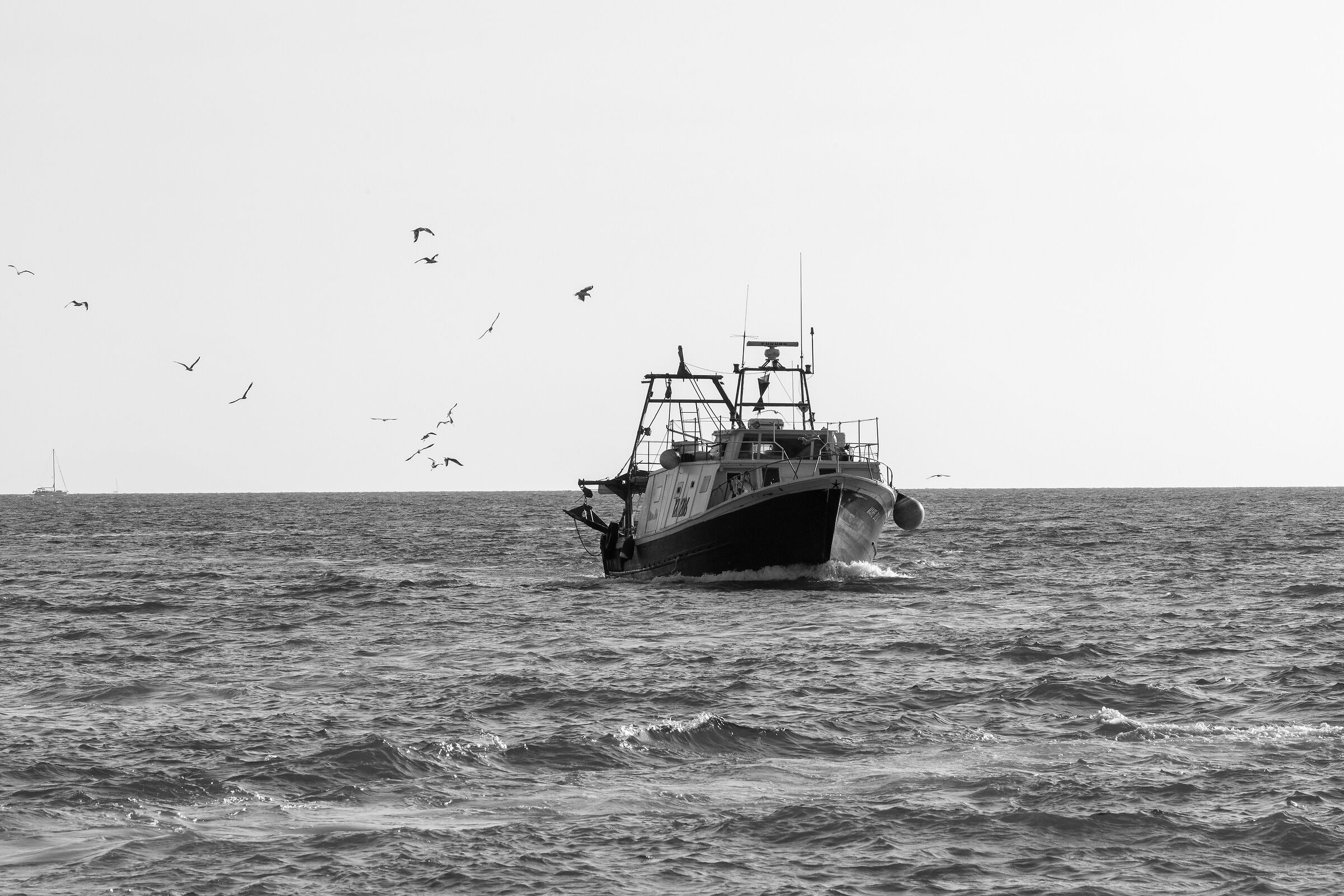 Castiglione della Pescaia...