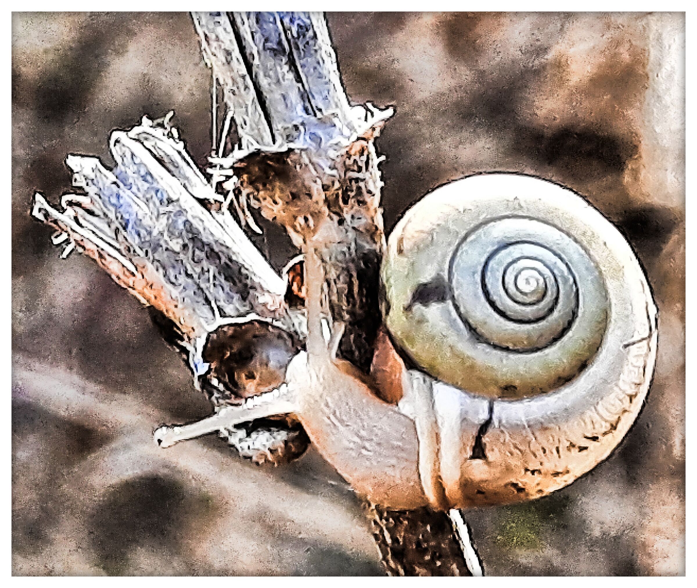  #1 snail...