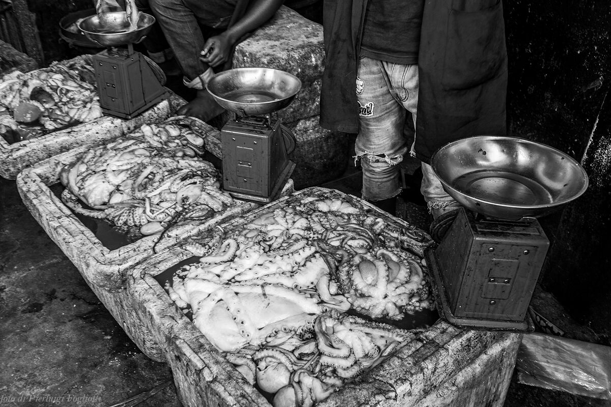 Al mercato del pesce di Stone Town (Zanzibar) - Polpi...