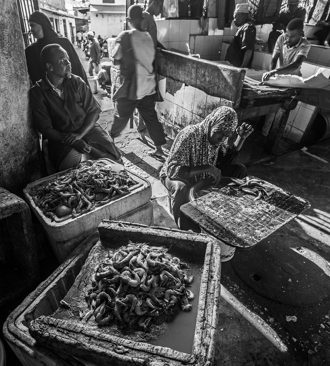 Al mercato del pesce di Stone Town (Zanzibar) - Gamberi...