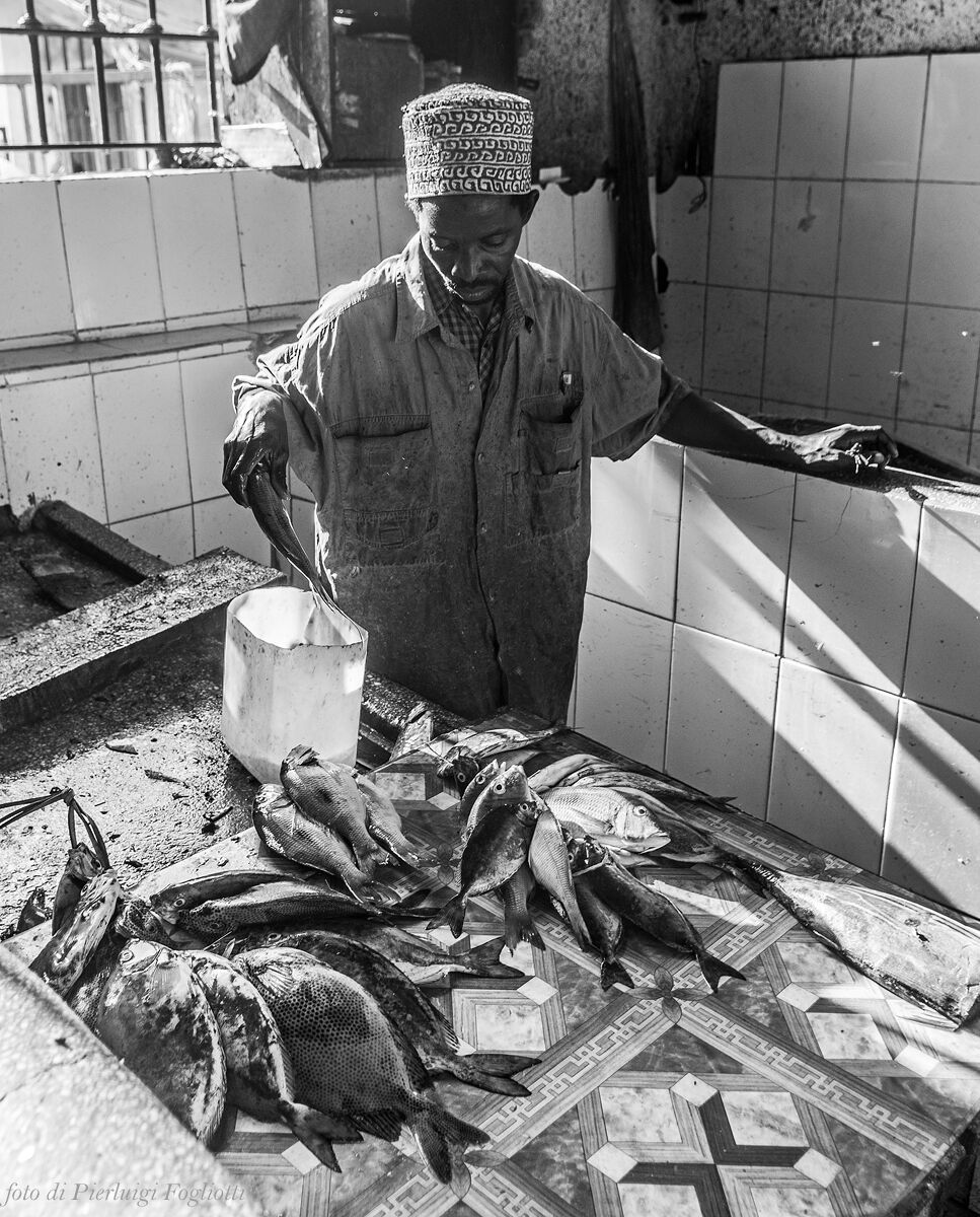 At the fish market in Stone Town (Zanzibar) - Fish...