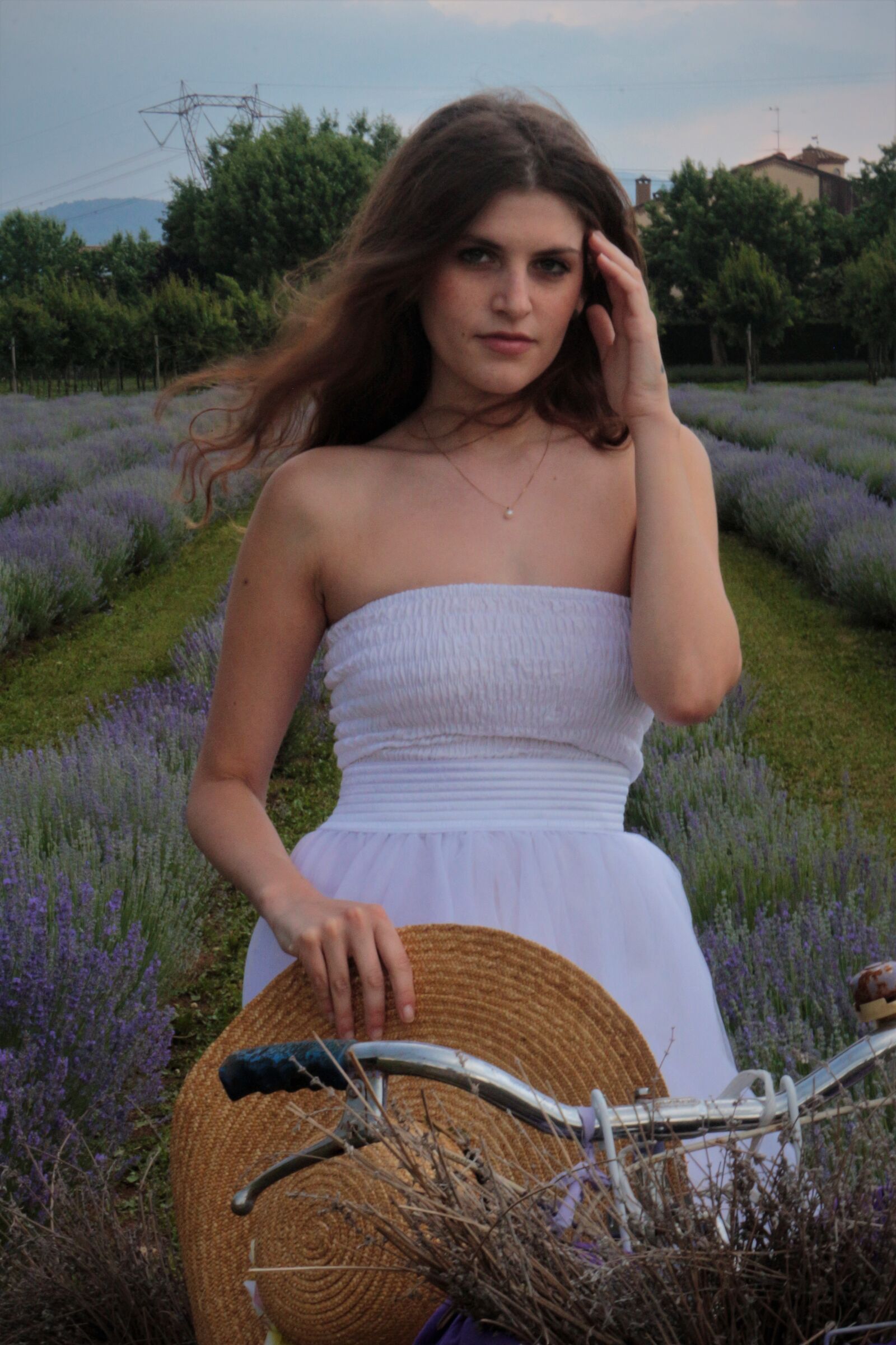 cycling among the lavender...
