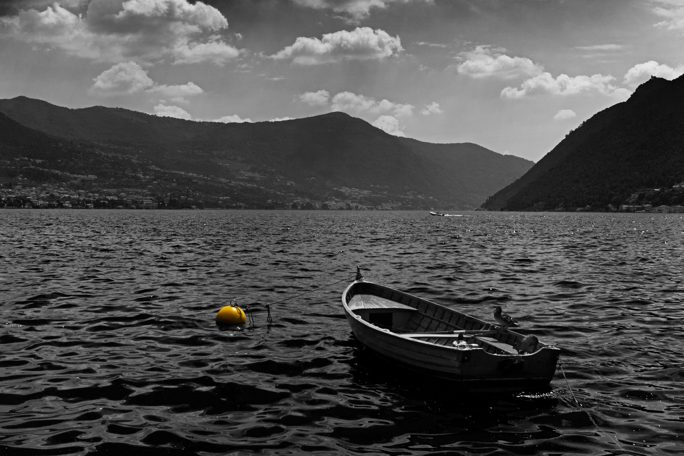 Solitary buoy...