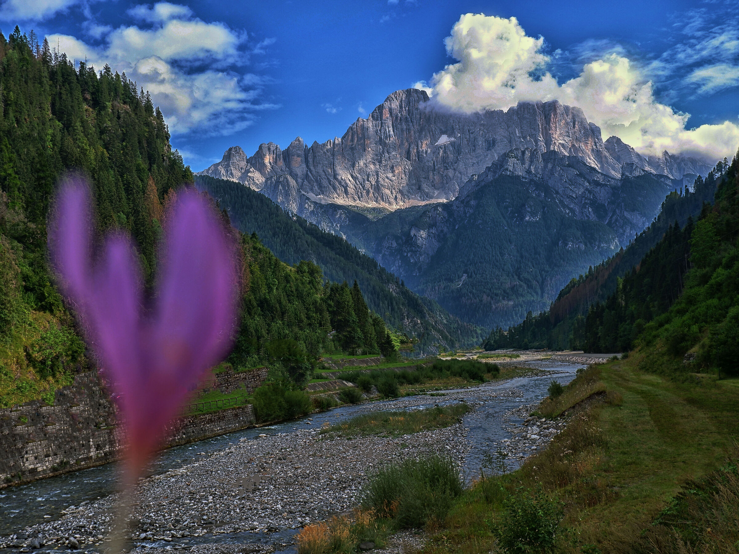 Un fiore per il Monte Civetta...