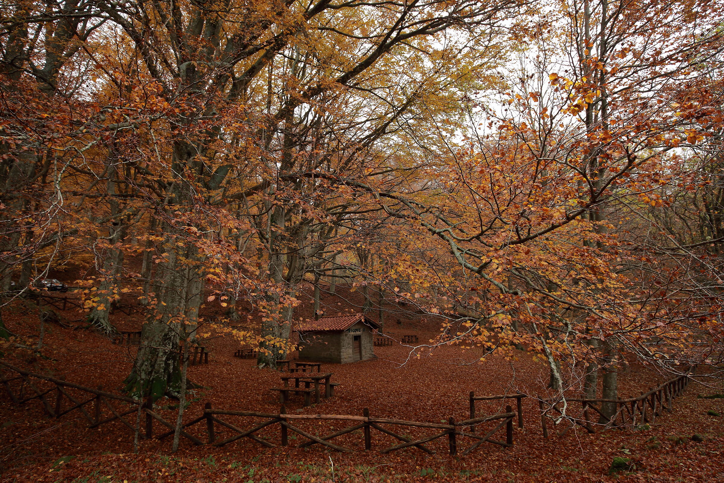 The little refuge inside the autumn...