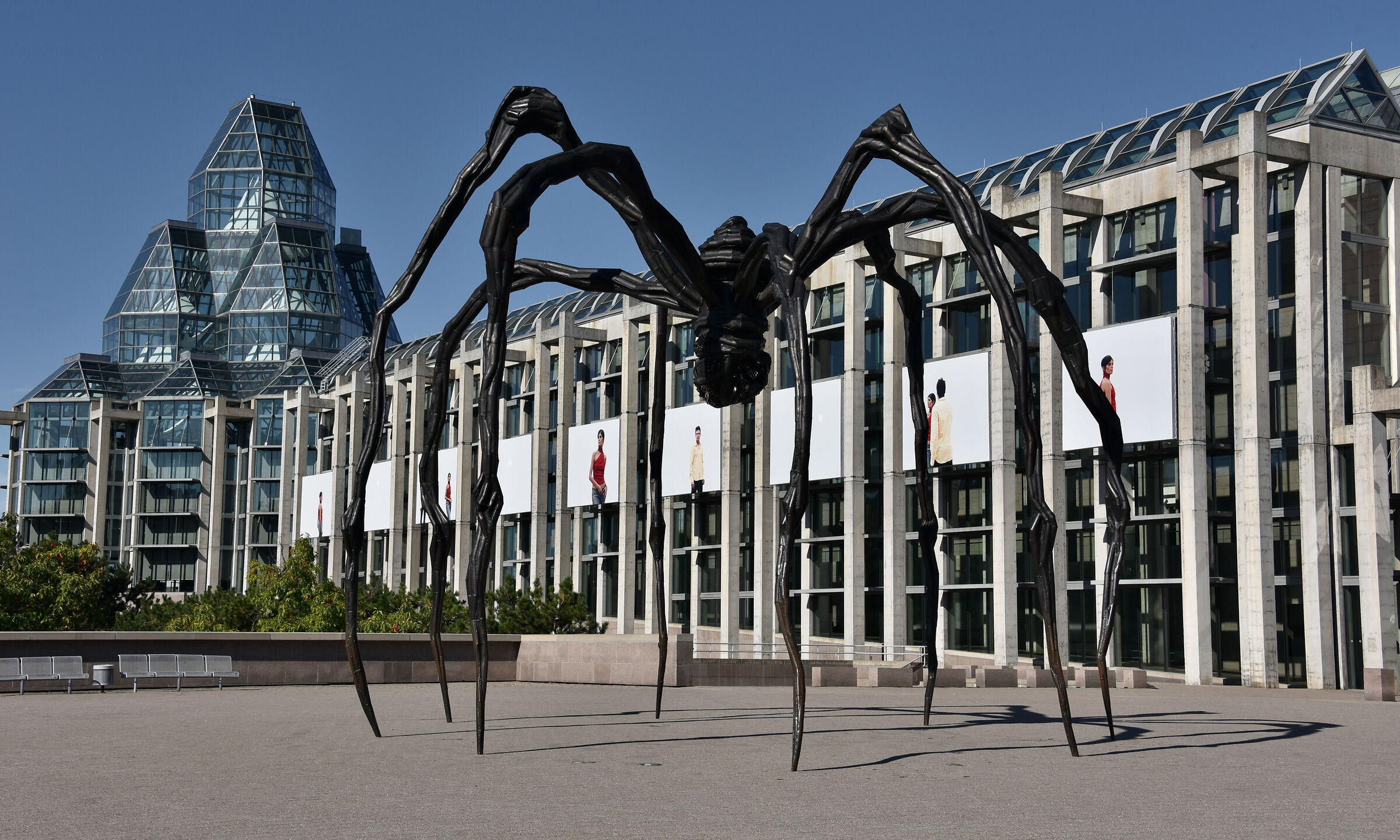 Status ragno gigante, Ottawa Ontario...