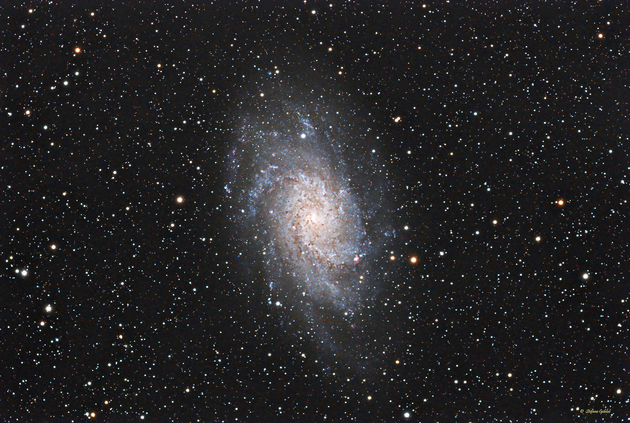 M 33 Galassia Triangolo...