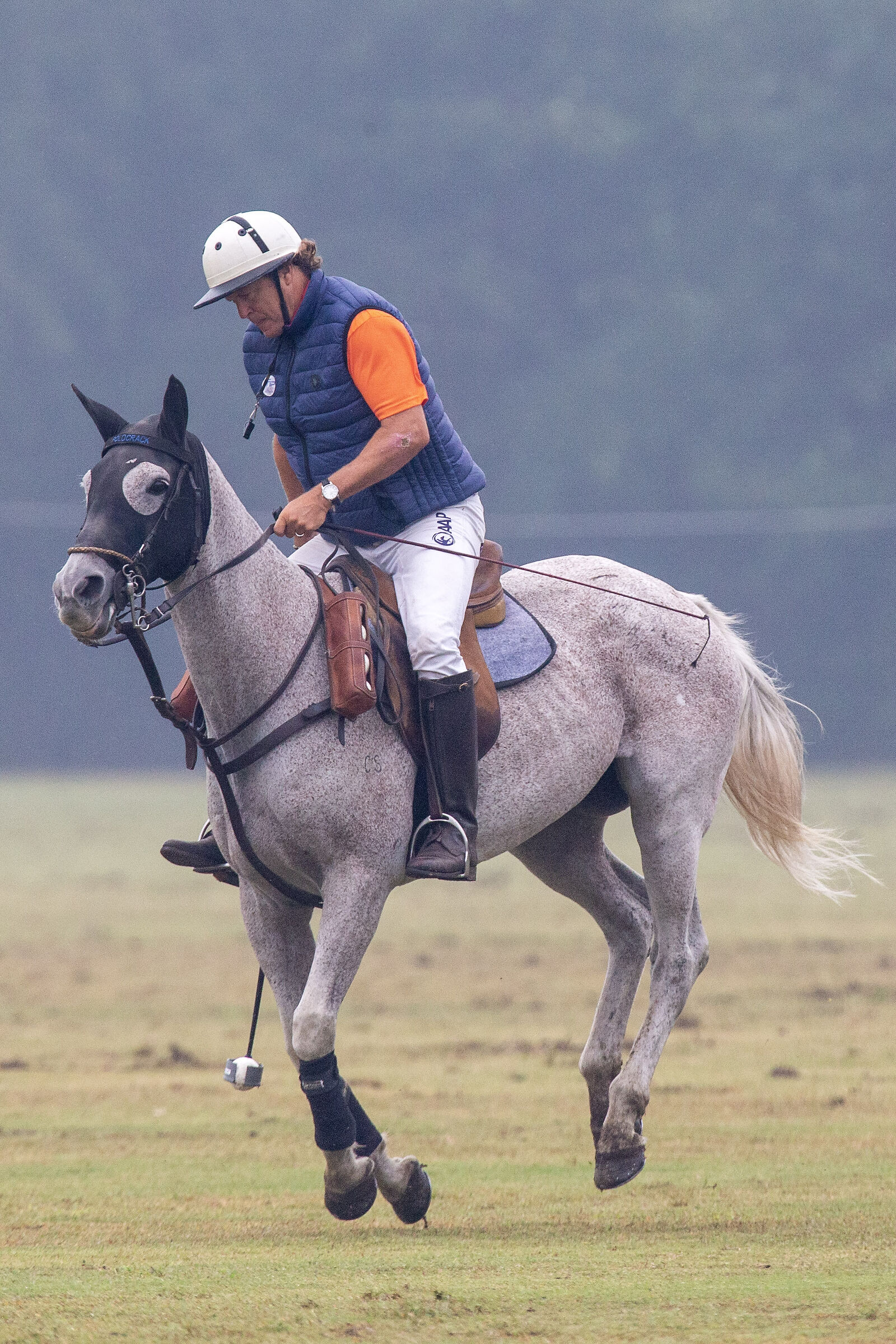 arbitro a cavallo...