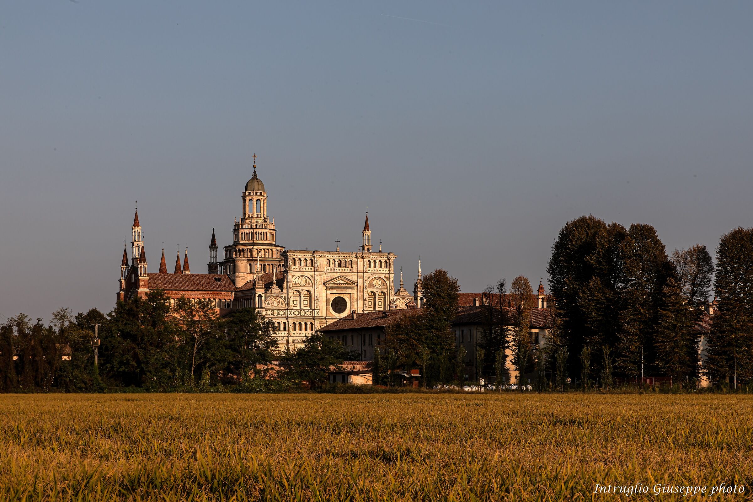 Certosa di Pavia...