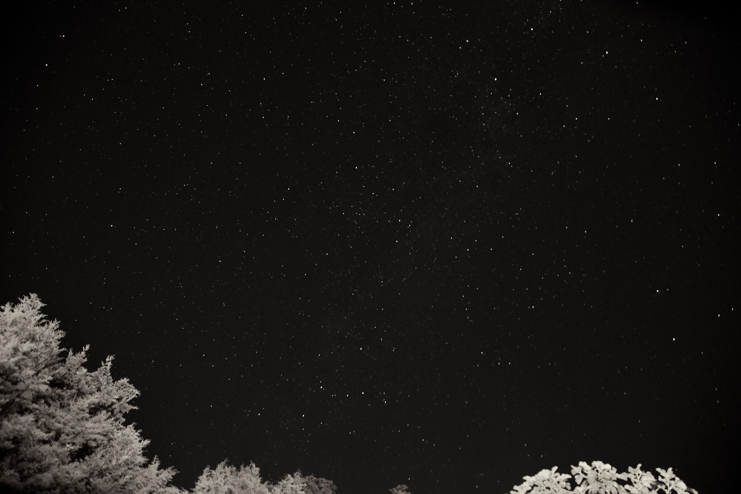 A starry sky....