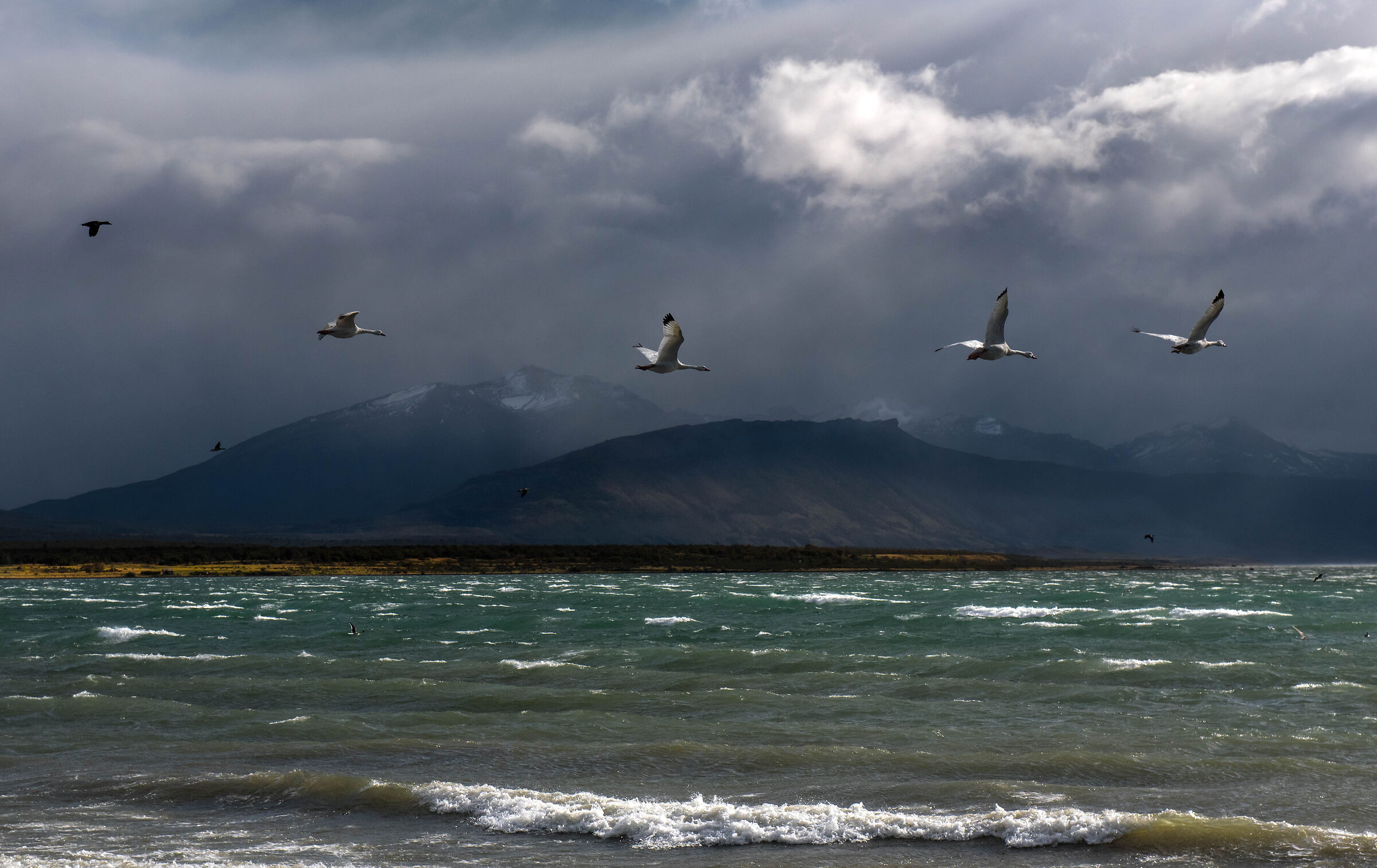 Puerto Natales Patagonia Chile...