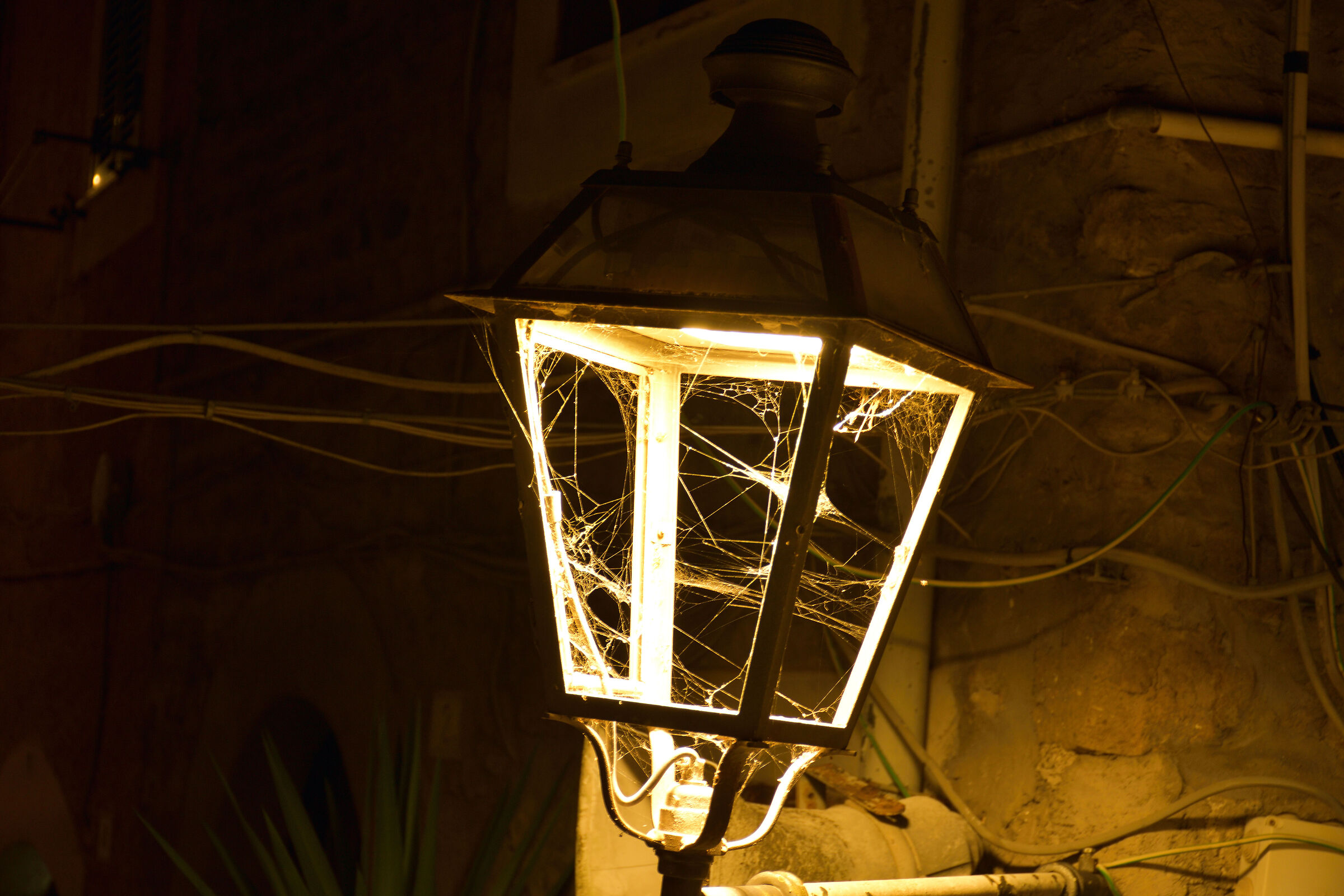 neglected street lamp...