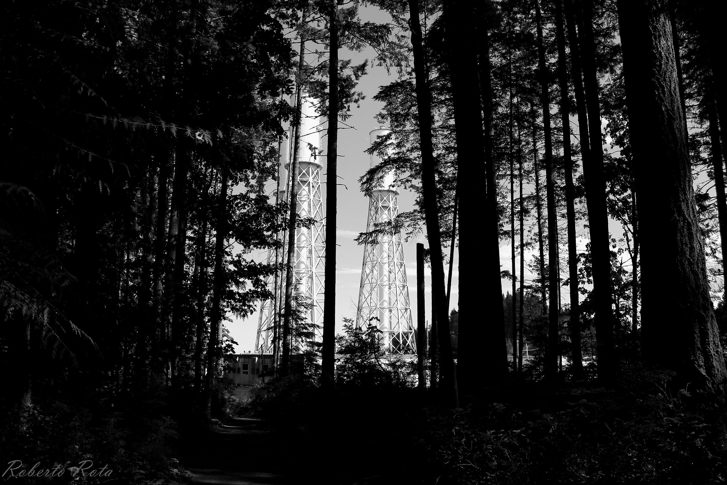 Verticalisms: Man and nature...
