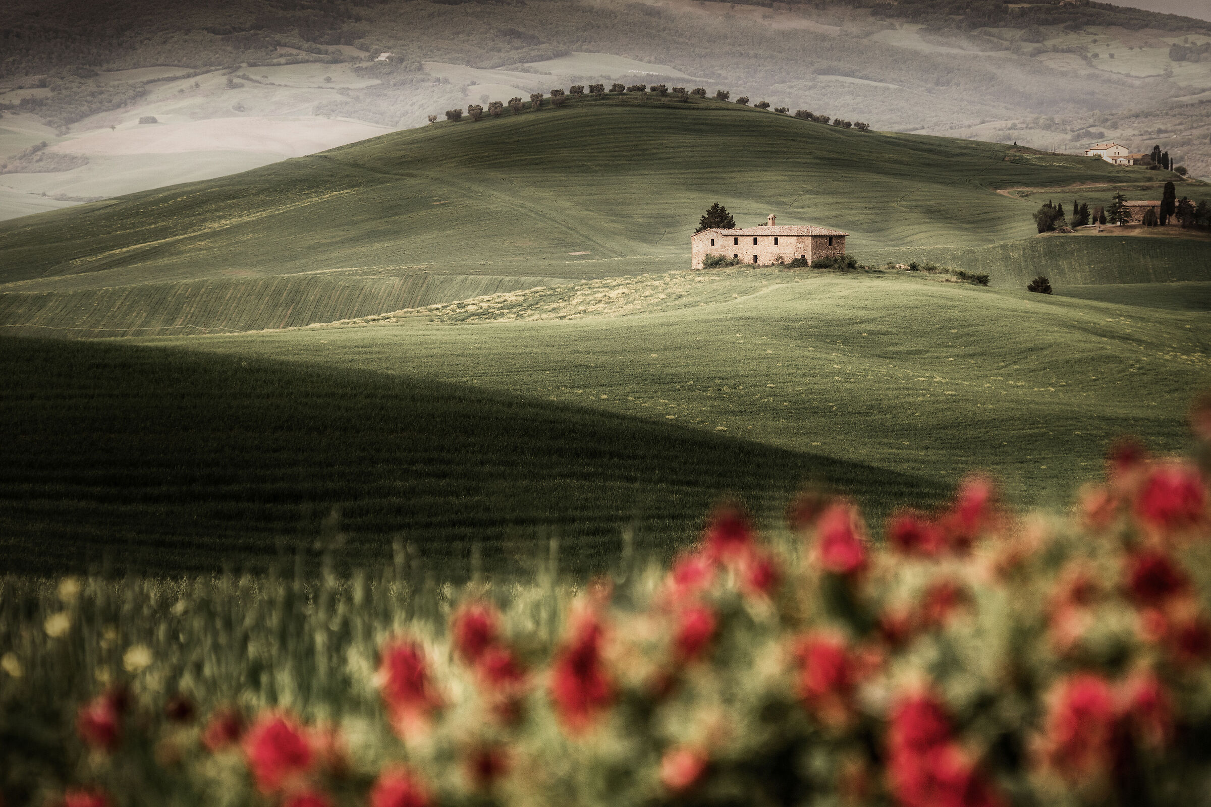 Spring in Val d'Orcia...